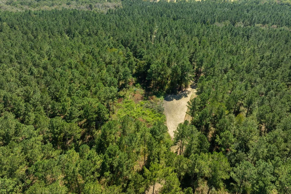 forest-management-georgia-reeves-county_72dpi-3.jpg
