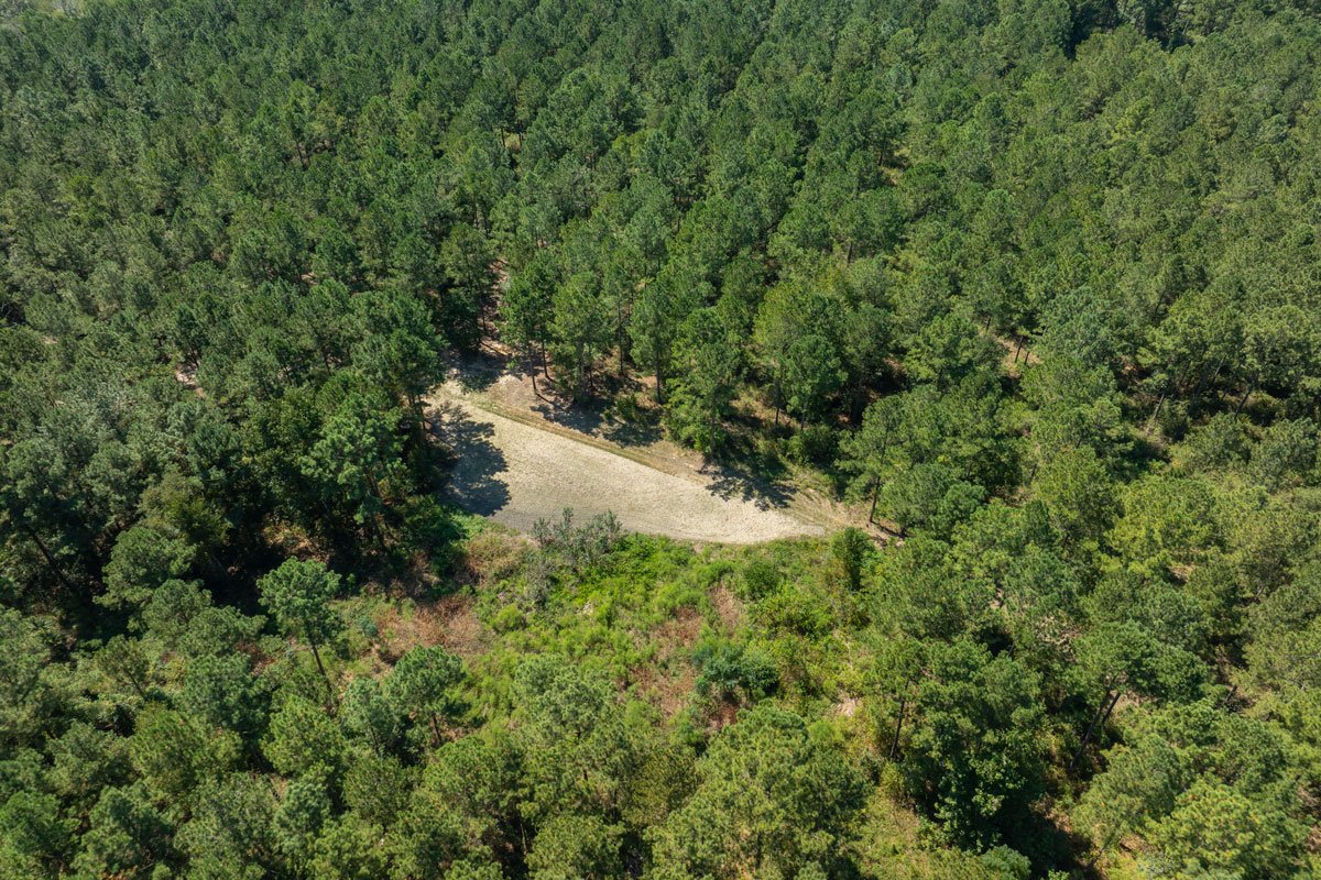 forest-management-georgia-reeves-county_72dpi-4.jpg