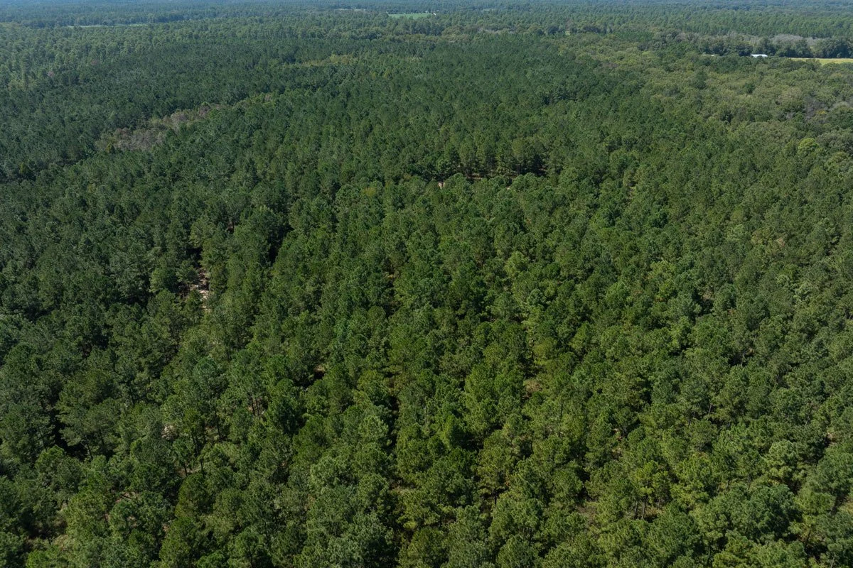 forest-management-georgia-reeves-county_72dpi-5.jpg