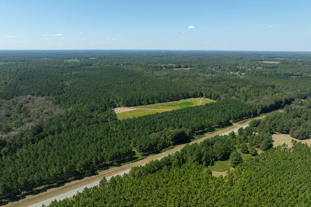 forest-management-georgia-reeves-county_72dpi-9.jpg