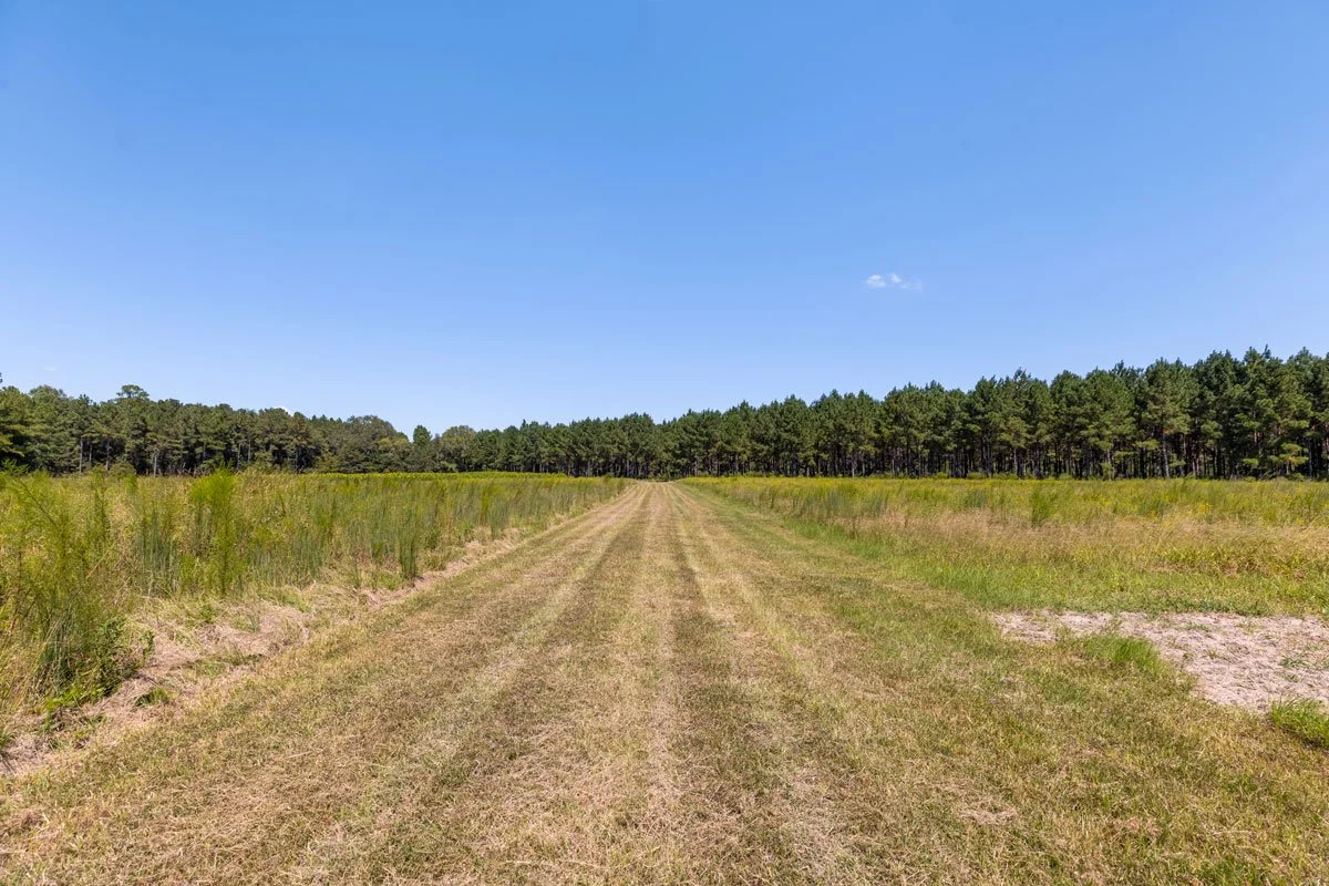 land-for-sale-georgia-reeves-county_72dpi-2.jpg