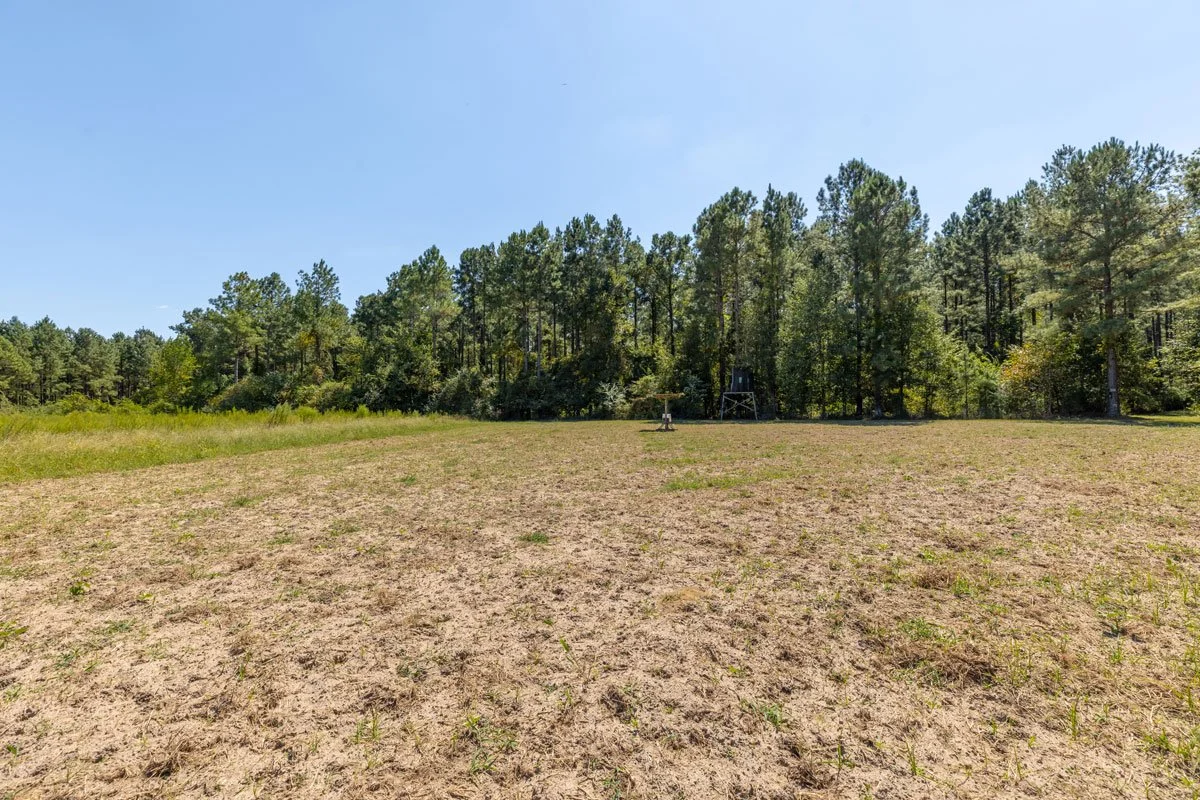 land-for-sale-georgia-reeves-county_72dpi-3.jpg