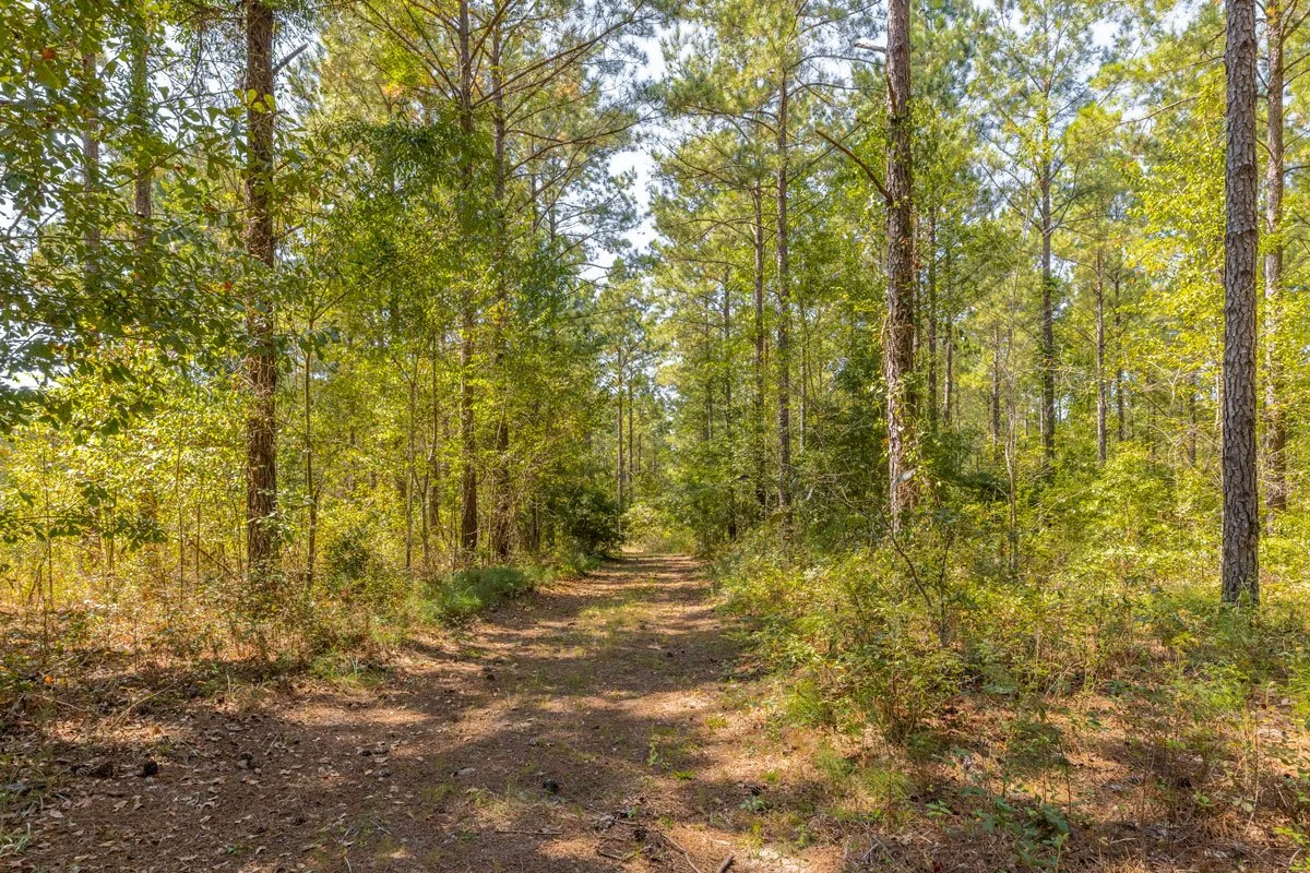 land-for-sale-georgia-reeves-county_72dpi-4.jpg