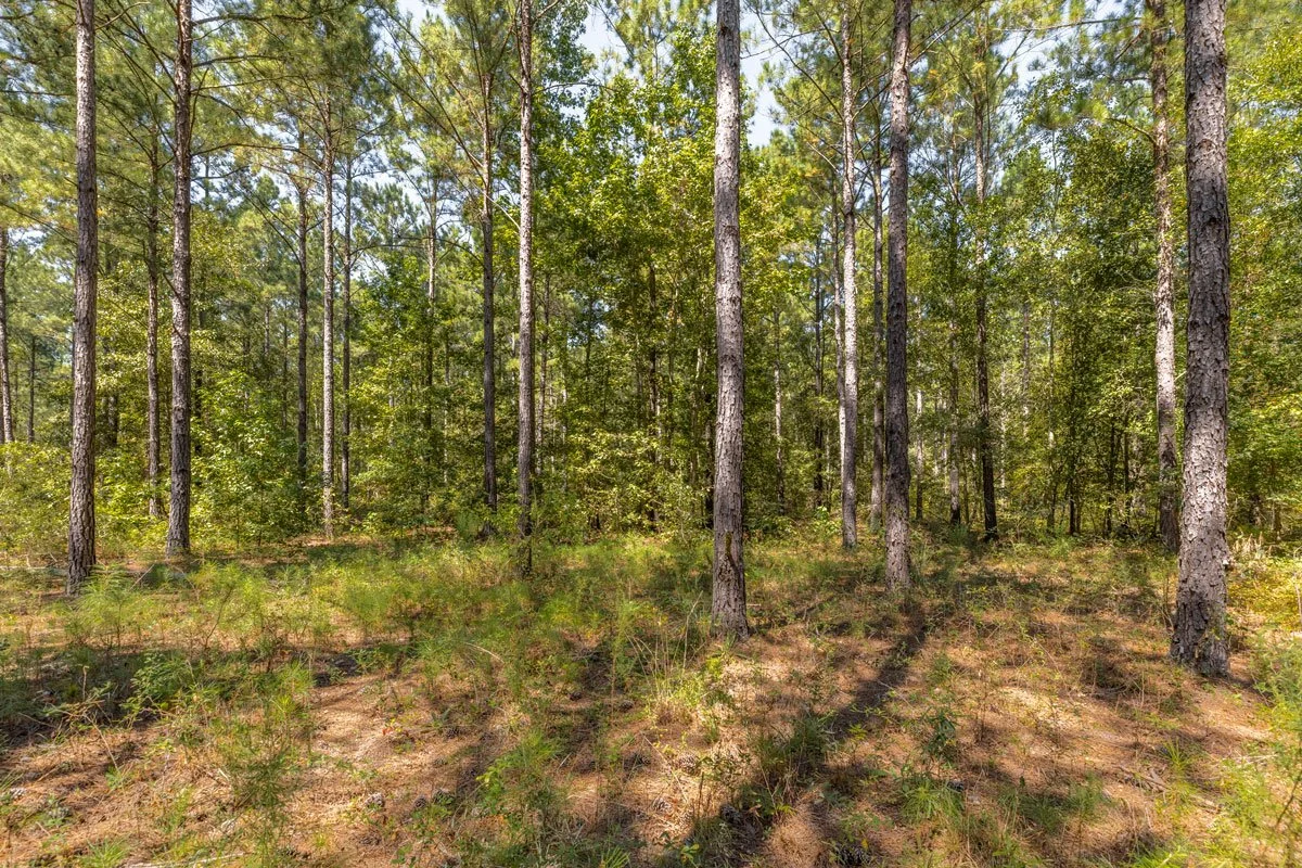 land-for-sale-georgia-reeves-county_72dpi-6.jpg