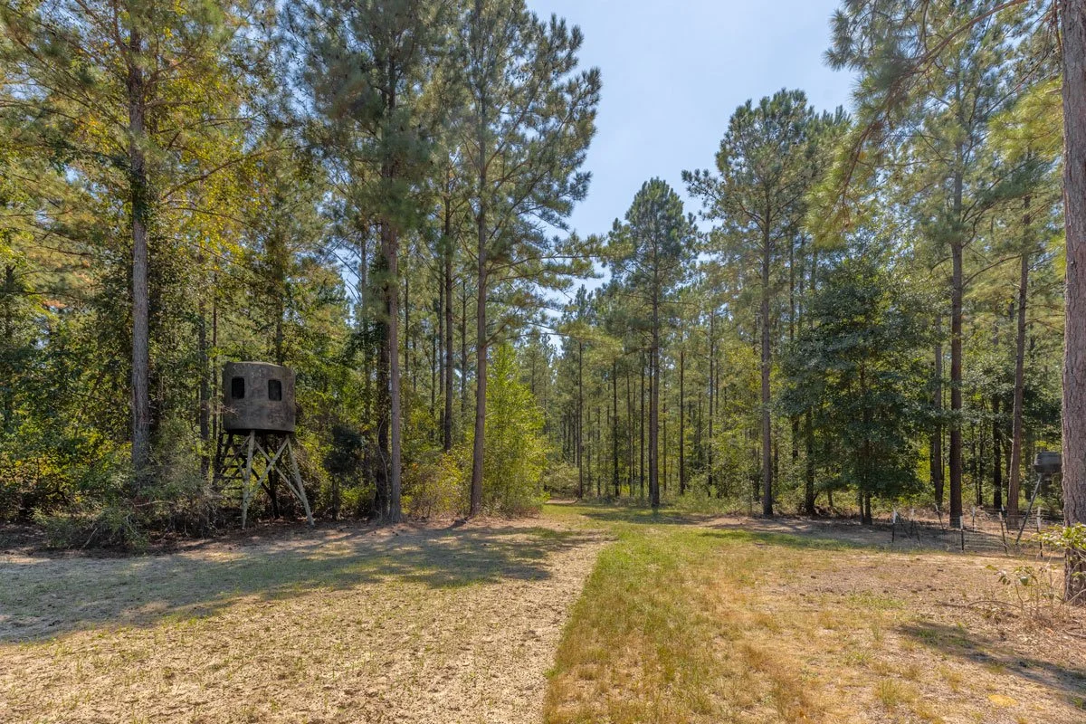 land-for-sale-georgia-reeves-county_72dpi-7.jpg