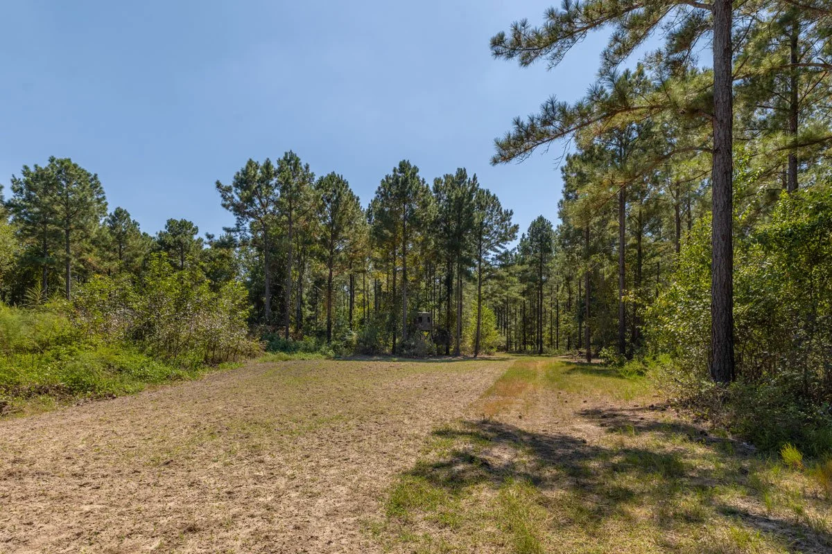land-for-sale-georgia-reeves-county_72dpi-8.jpg