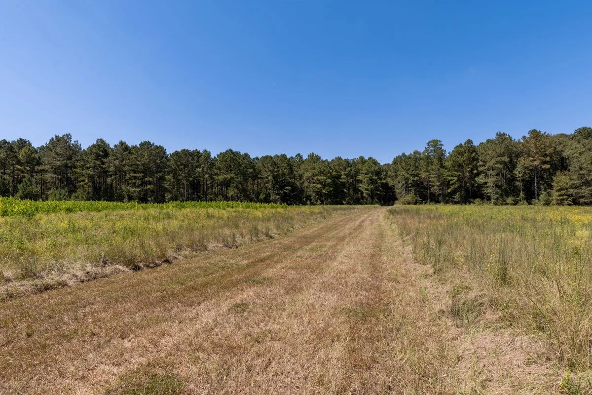 land-for-sale-georgia-reeves-county_72dpi-9.jpg