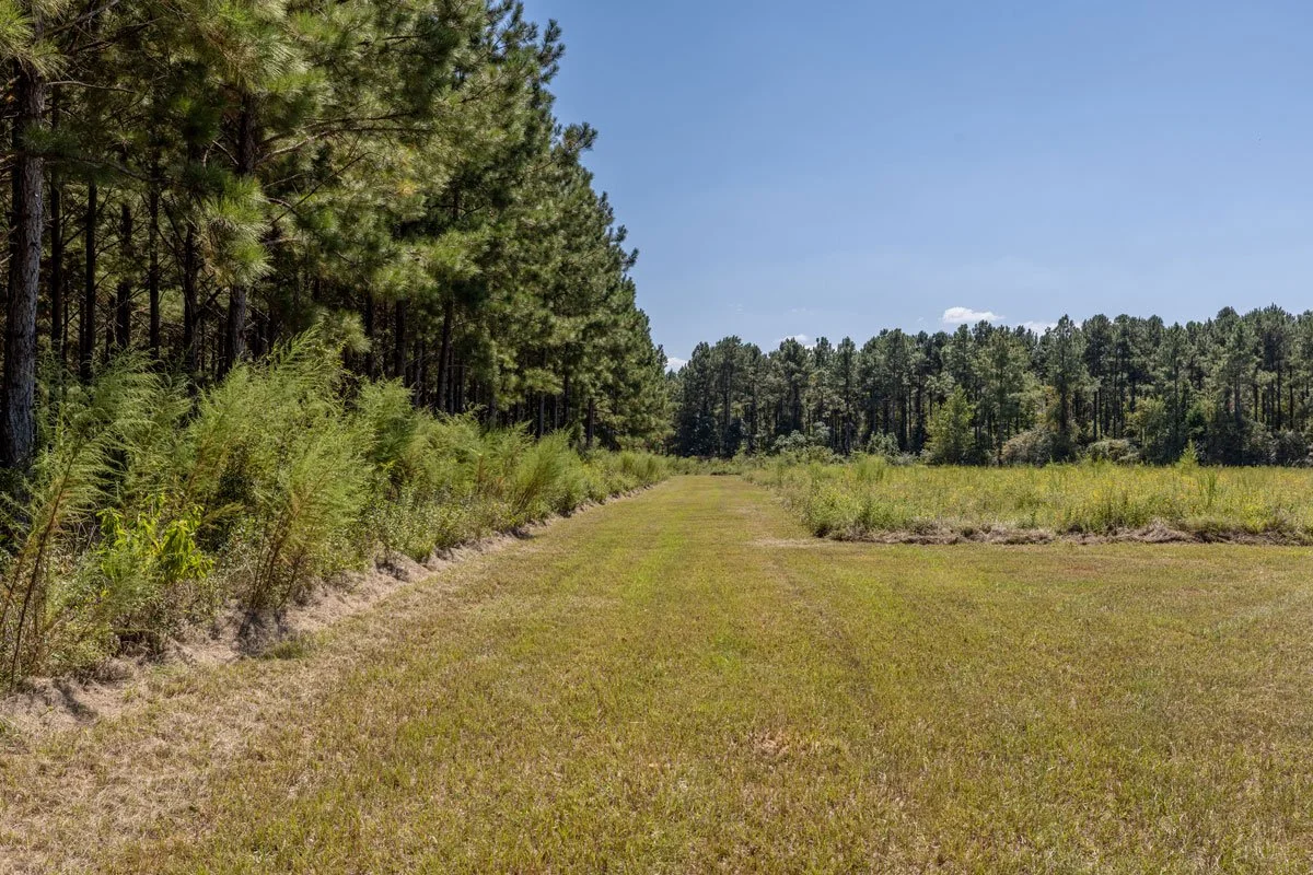 land-for-sale-georgia-reeves-county_72dpi-10.jpg