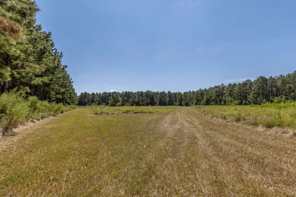 land-for-sale-georgia-reeves-county_72dpi-11.jpg