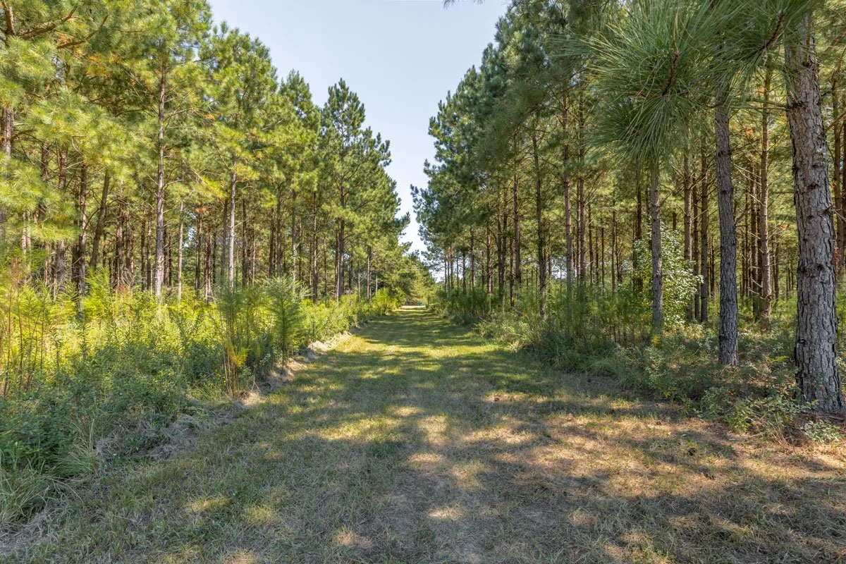 land-for-sale-georgia-reeves-county_72dpi-12.jpg