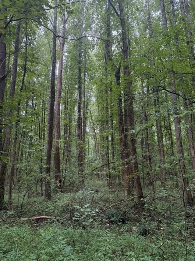 CLERMONT TRACT