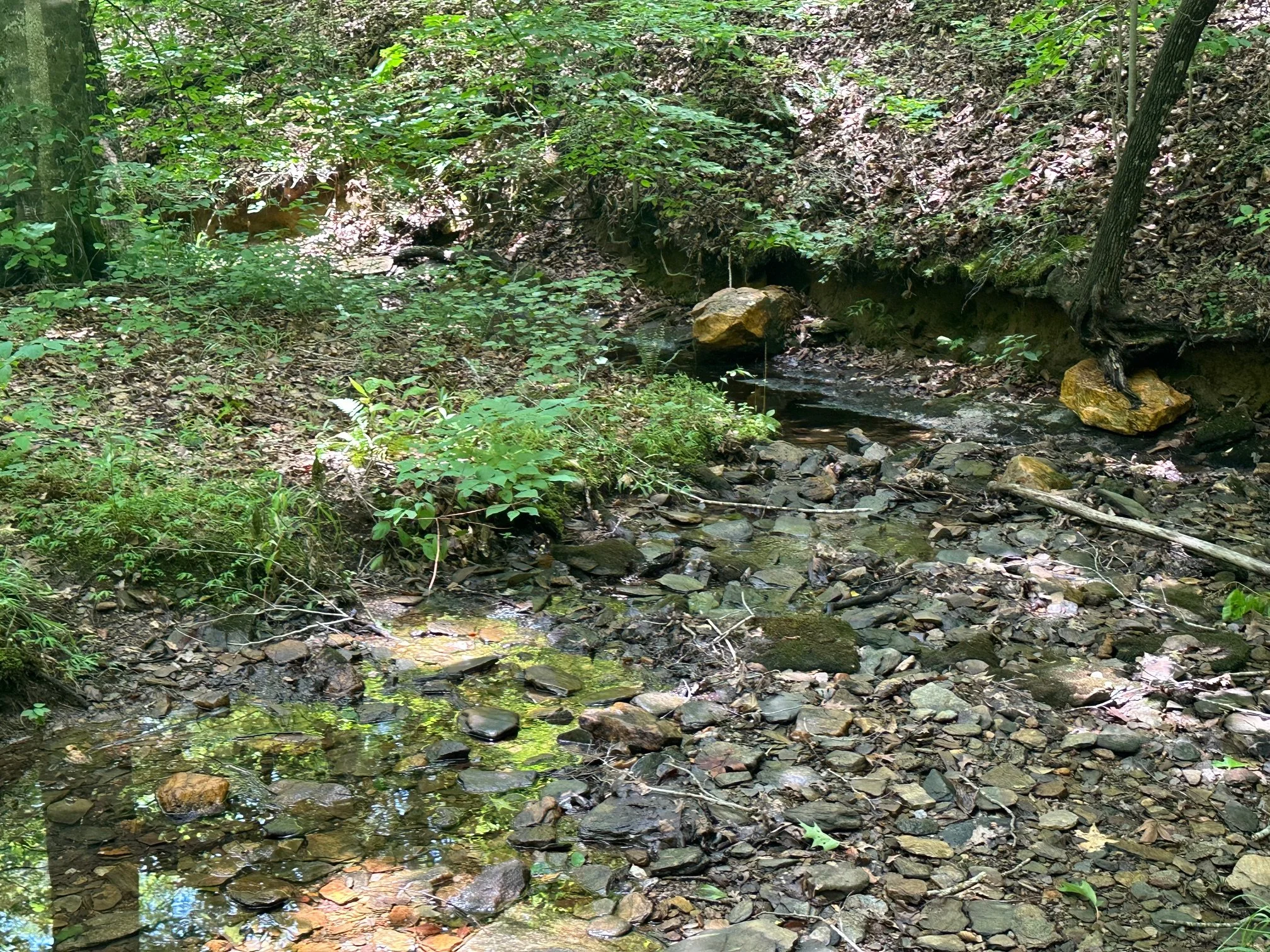 IMG_2327.jpg