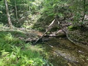 Turkey Heaven Mountain  |  $760,550