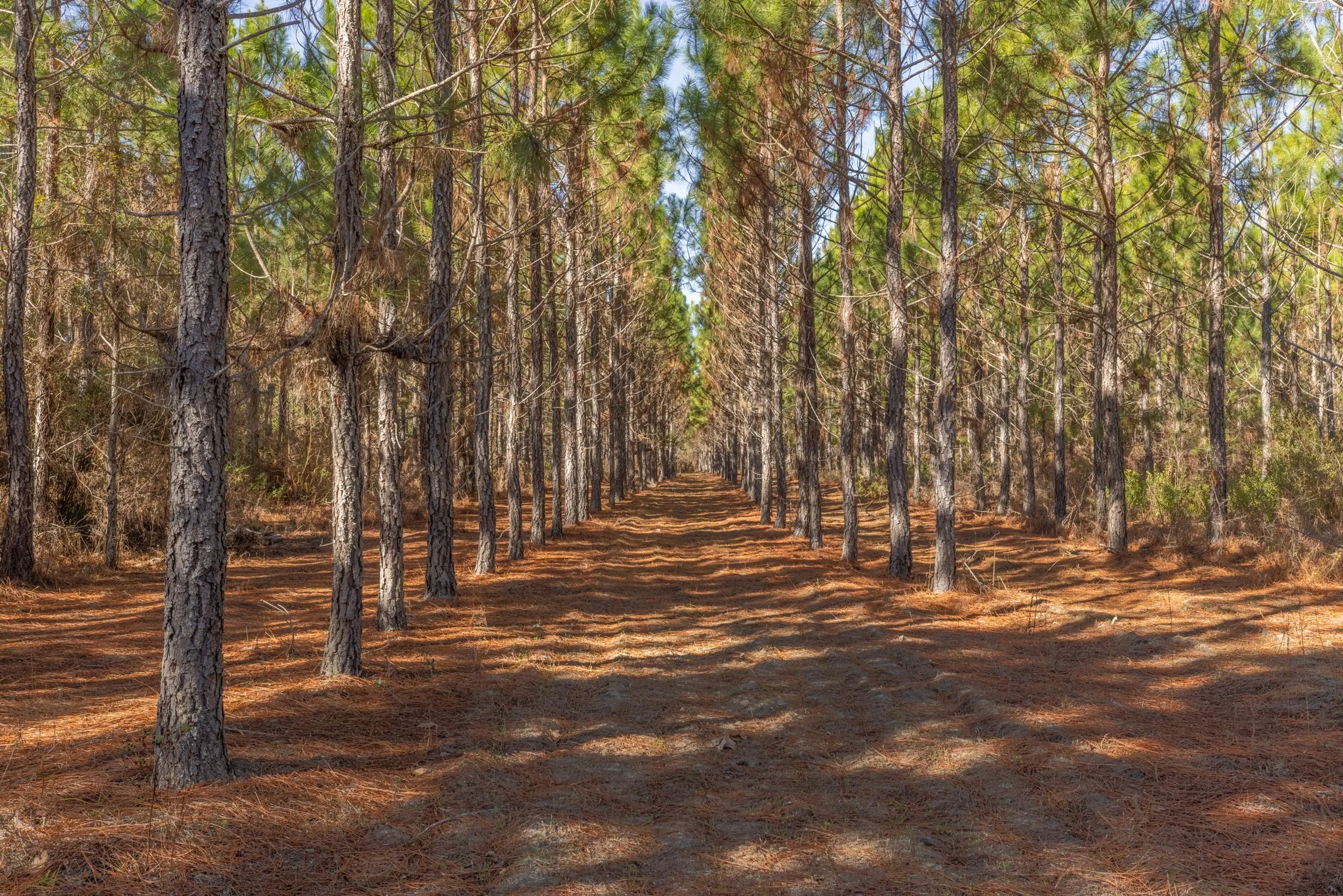 Faircloth Tract | $809,883.00