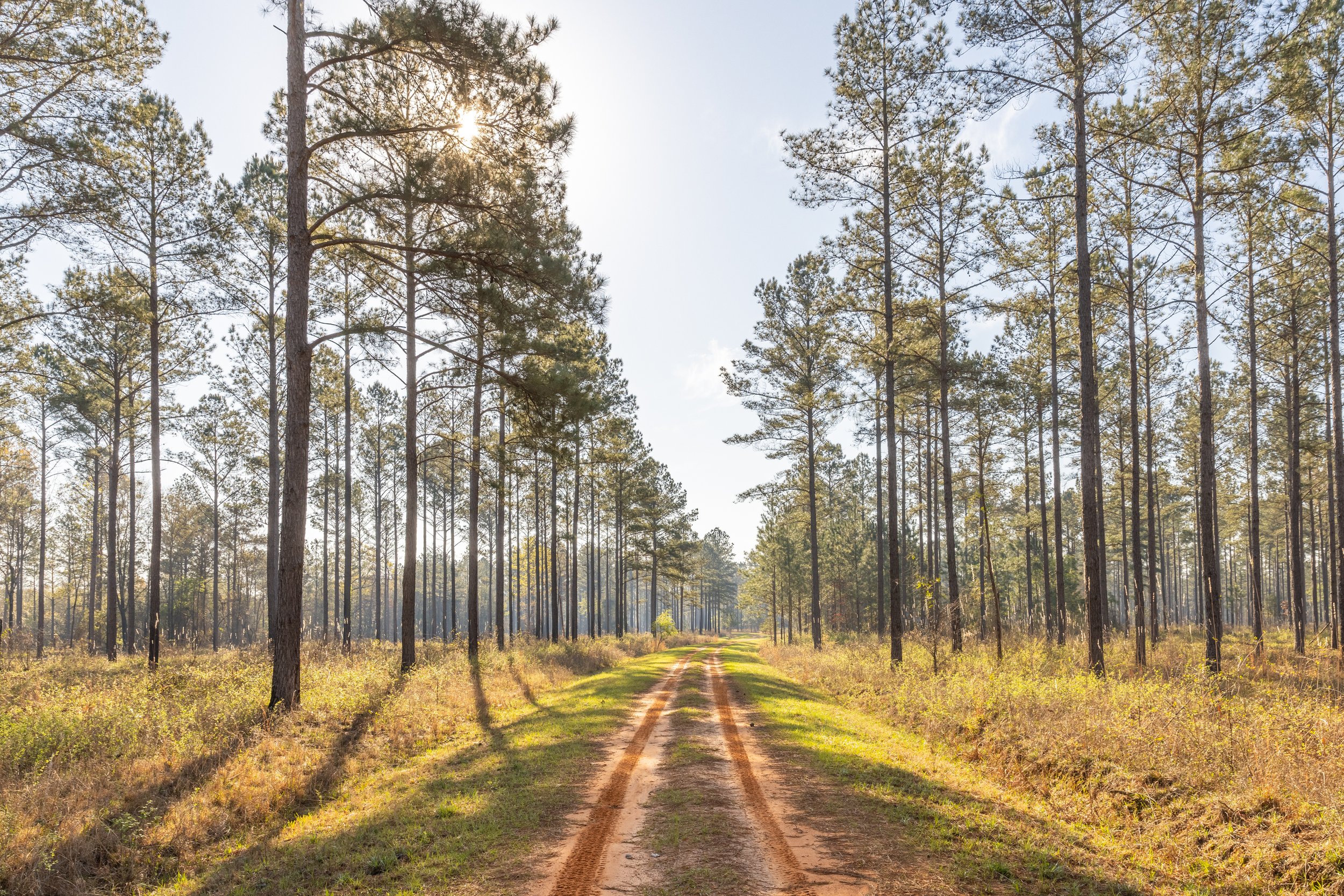Flint River Tract | $7,818,660