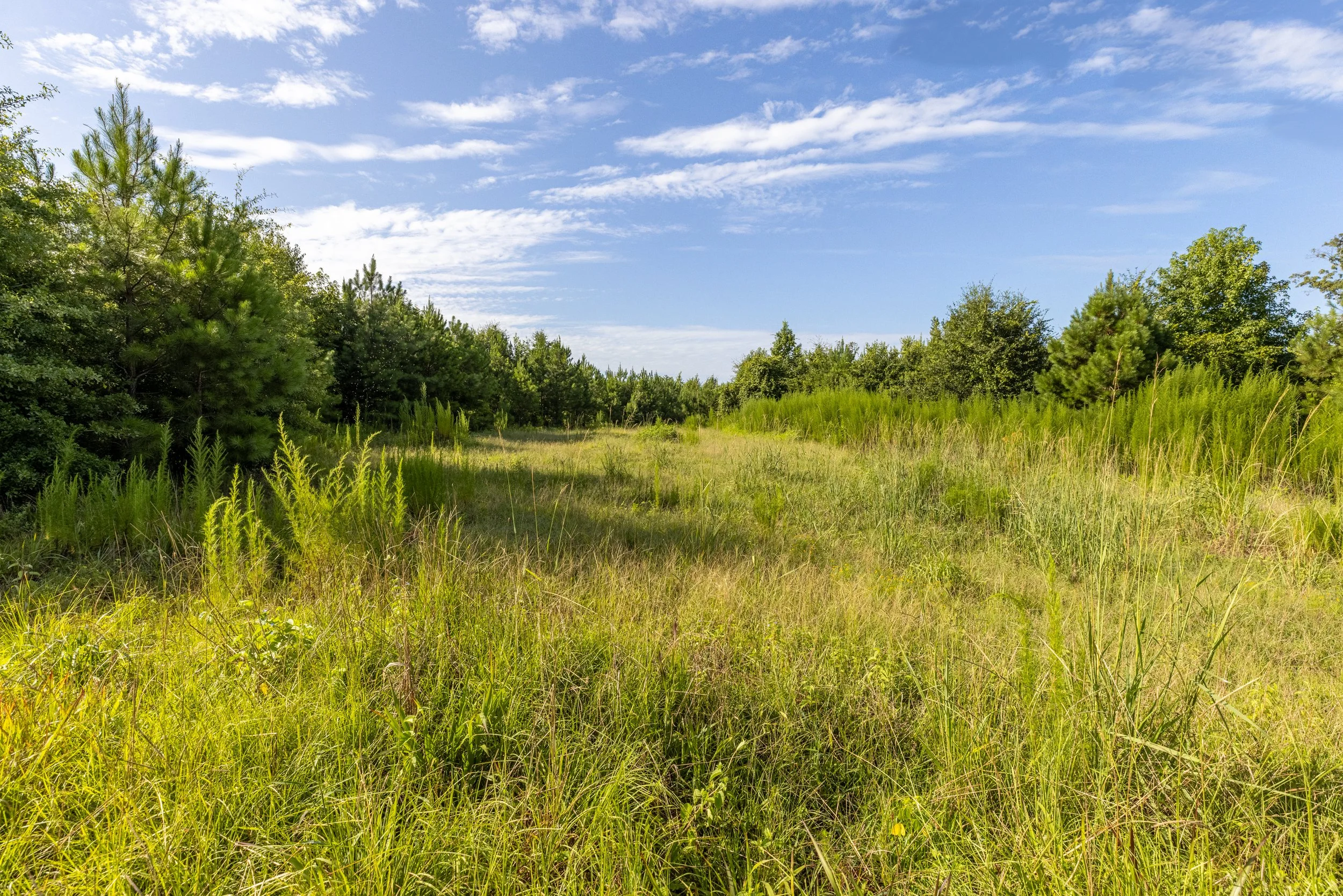3O5A9212-HDR.jpg