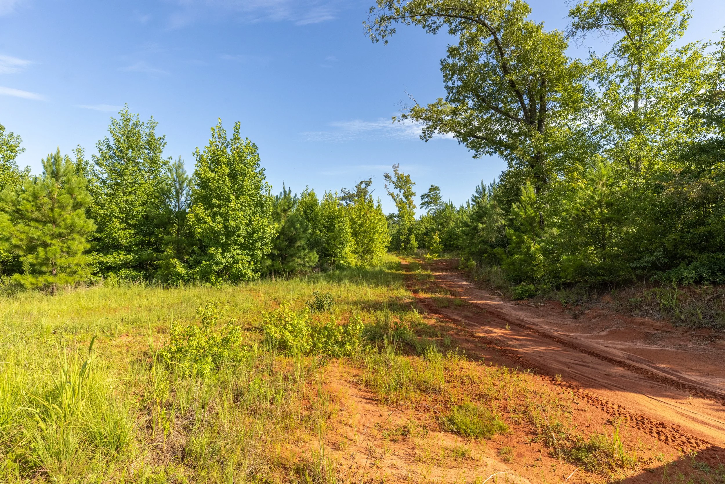 3O5A9215-HDR.jpg