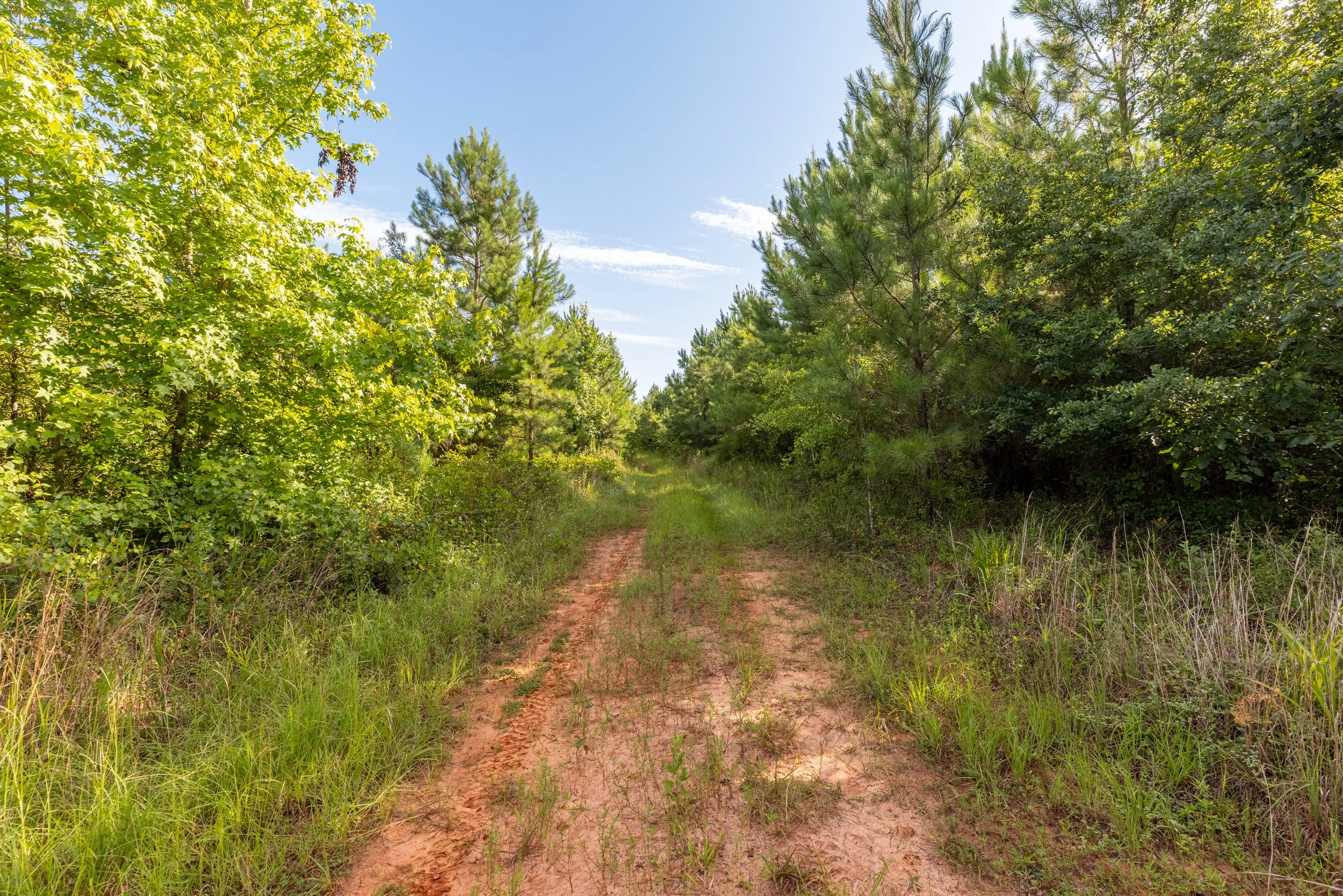 3O5A9218-HDR.jpg