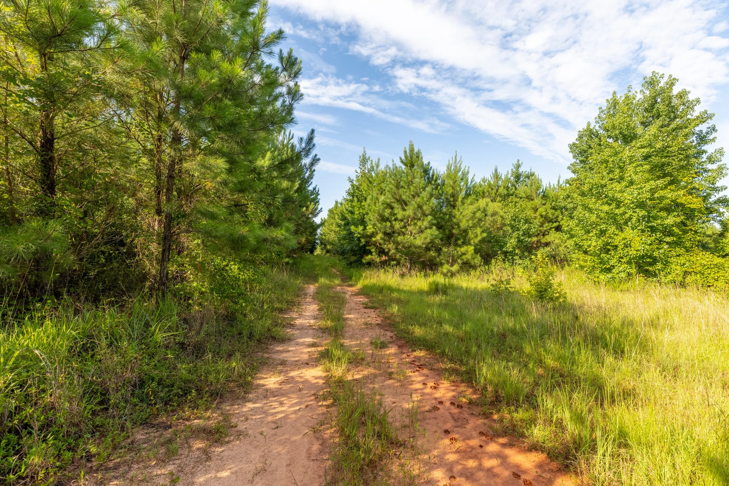 3O5A9224-HDR.jpg