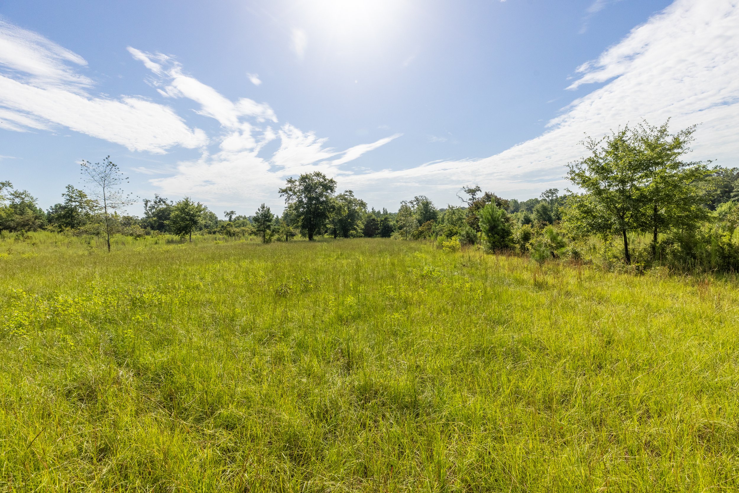 3O5A9245-HDR.jpg