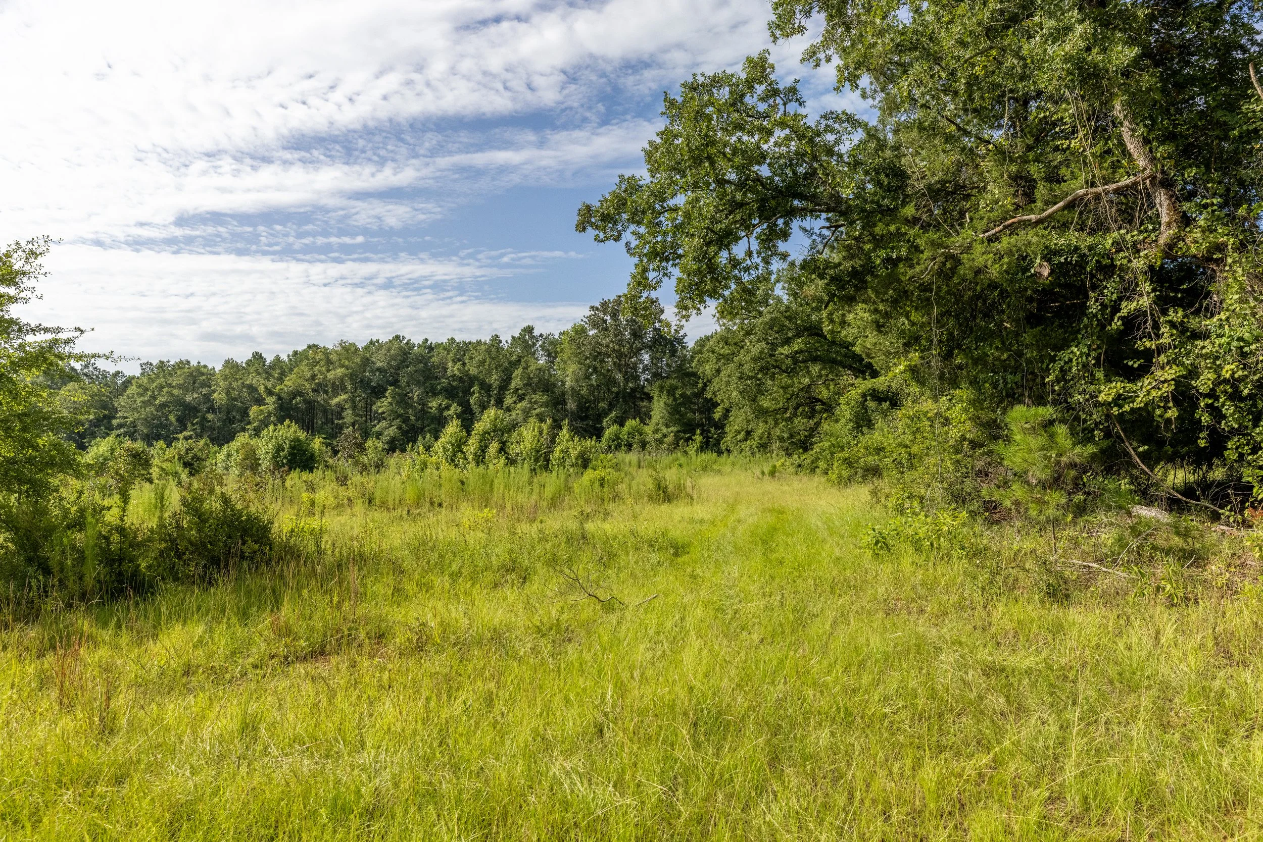 3O5A9248-HDR.jpg