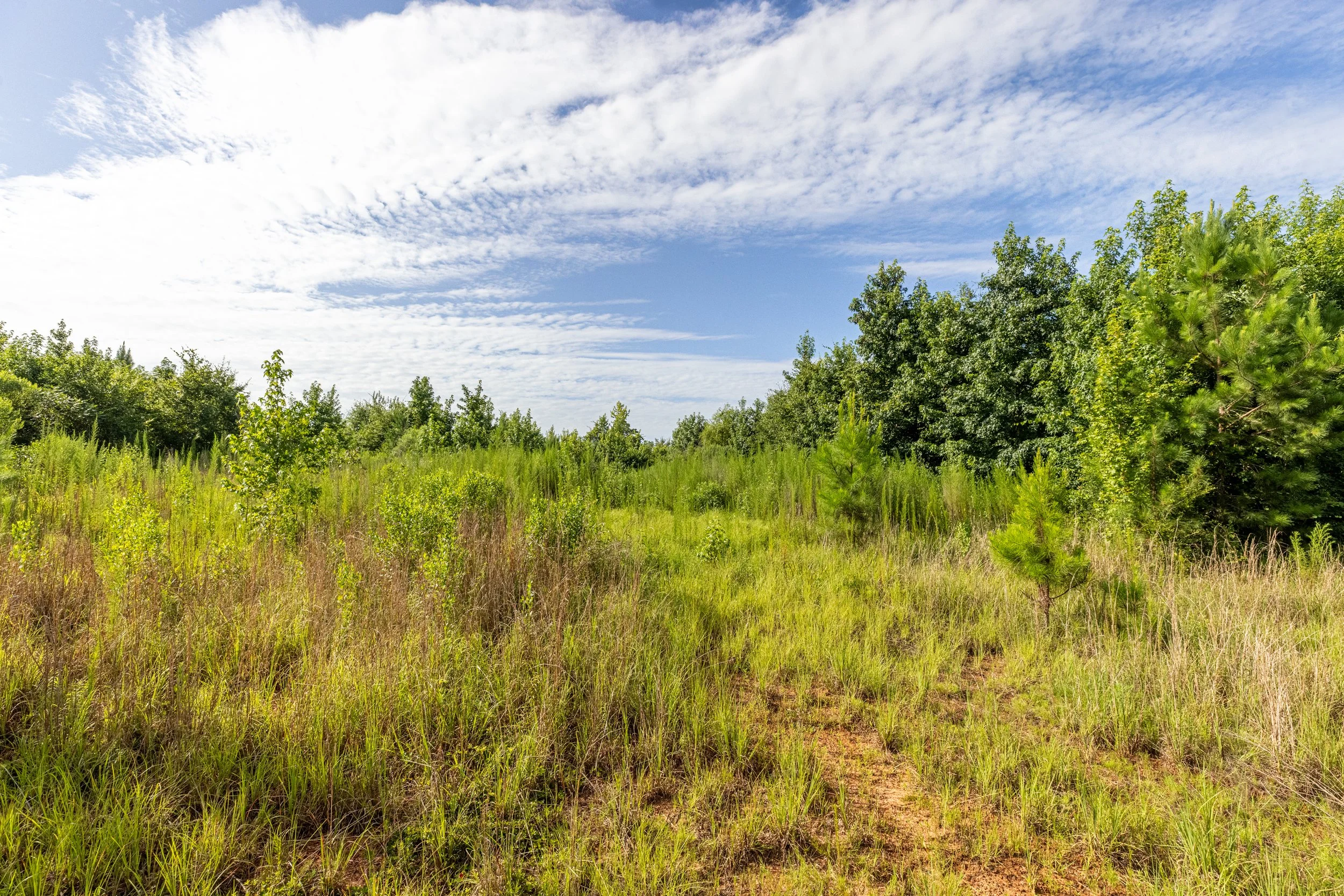 3O5A9257-HDR.jpg