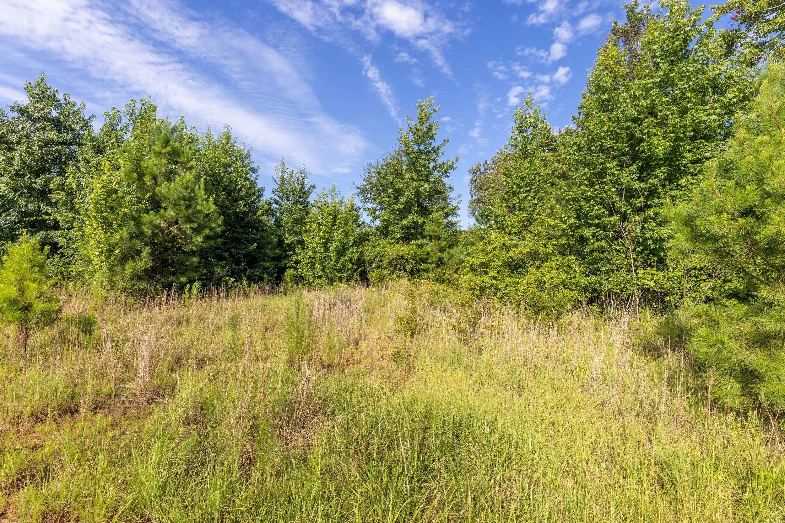 3O5A9260-HDR.jpg