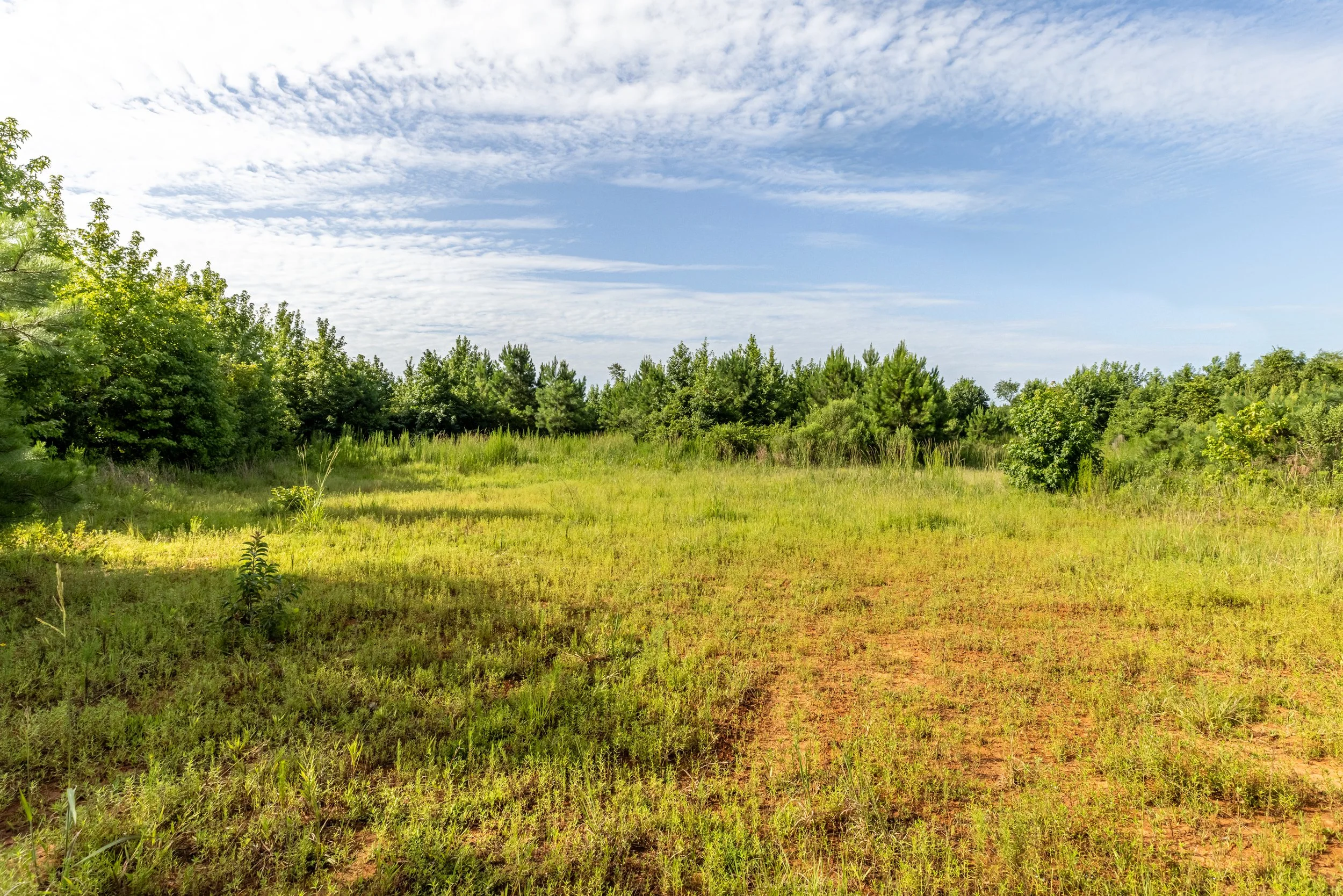 3O5A9263-HDR.jpg