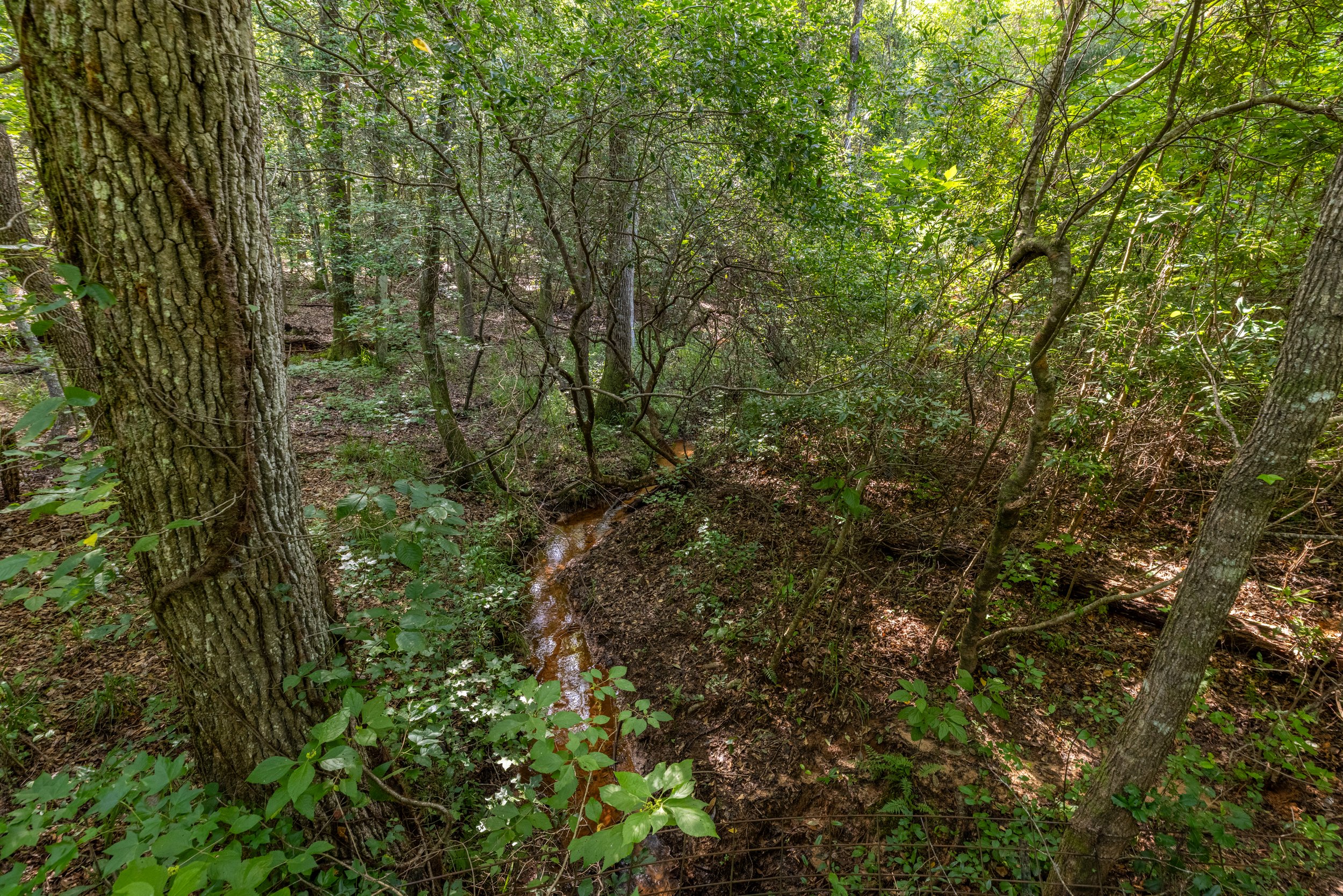 3O5A9266-HDR.jpg