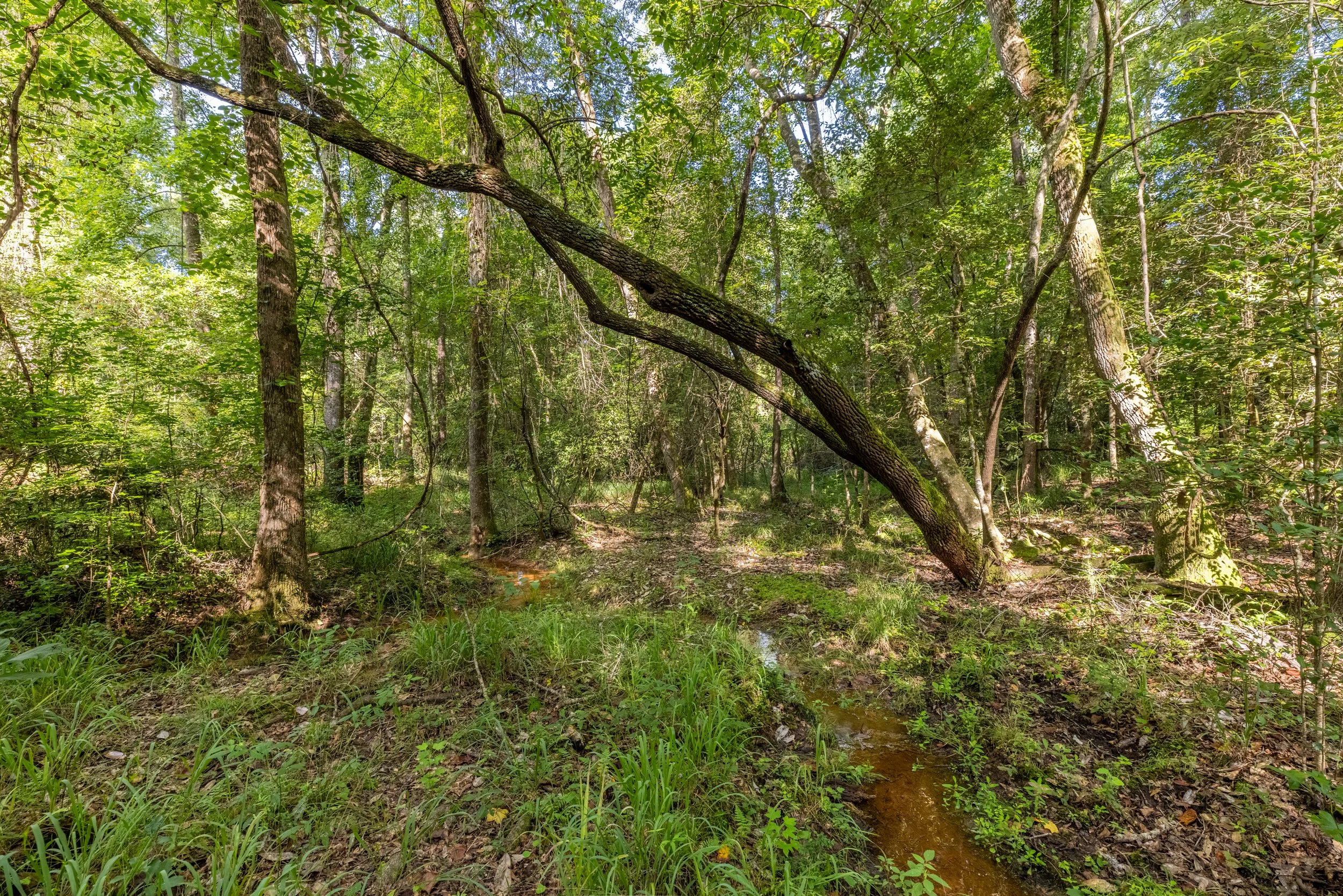 3O5A9278-HDR.jpg