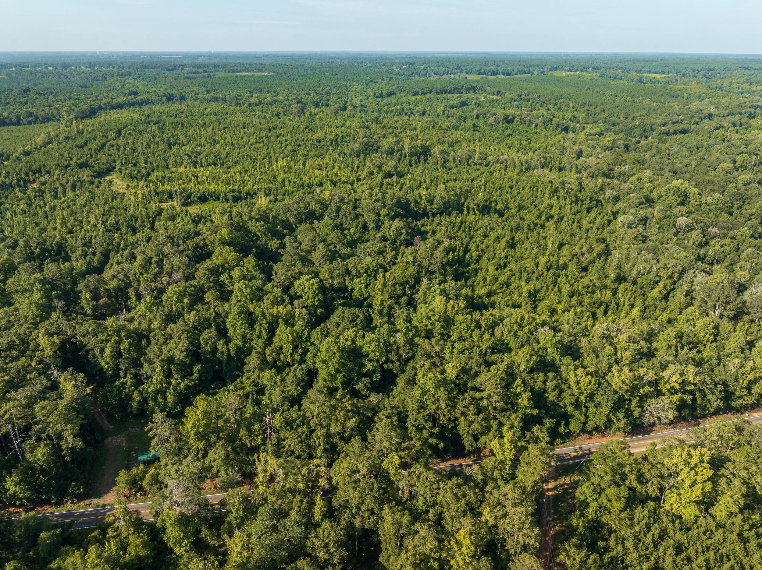 DJI_0706.jpg
