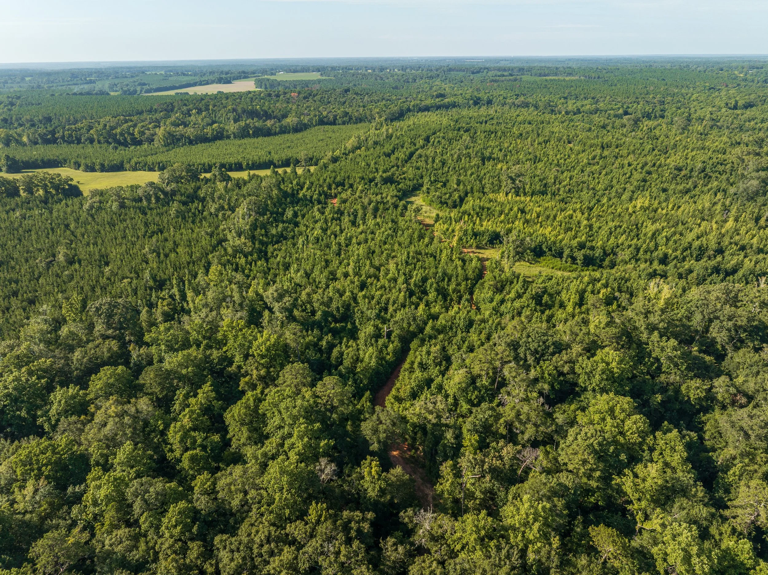DJI_0704.jpg