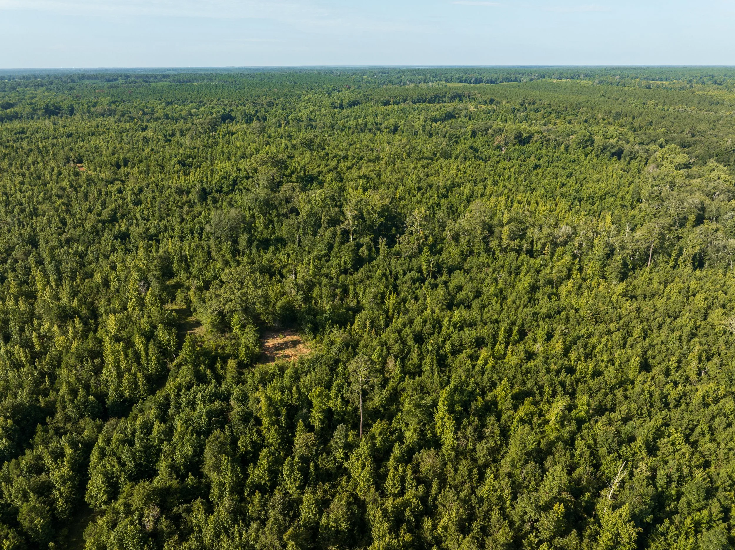DJI_0708.jpg