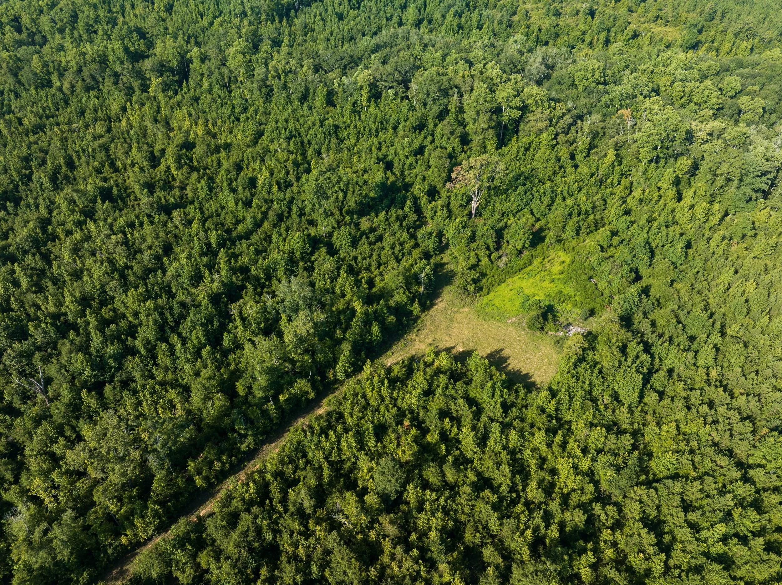 DJI_0709.jpg