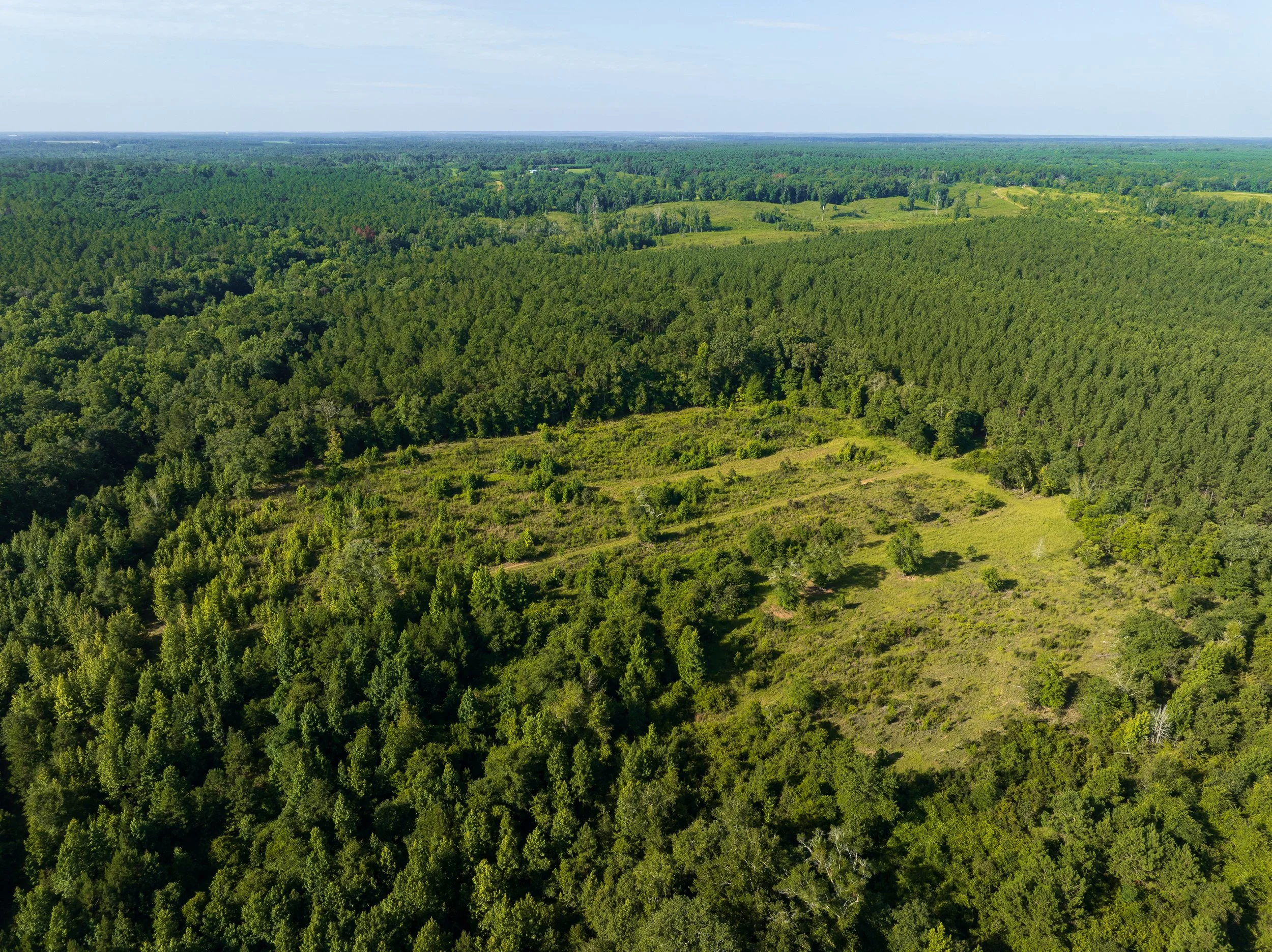 DJI_0710.jpg