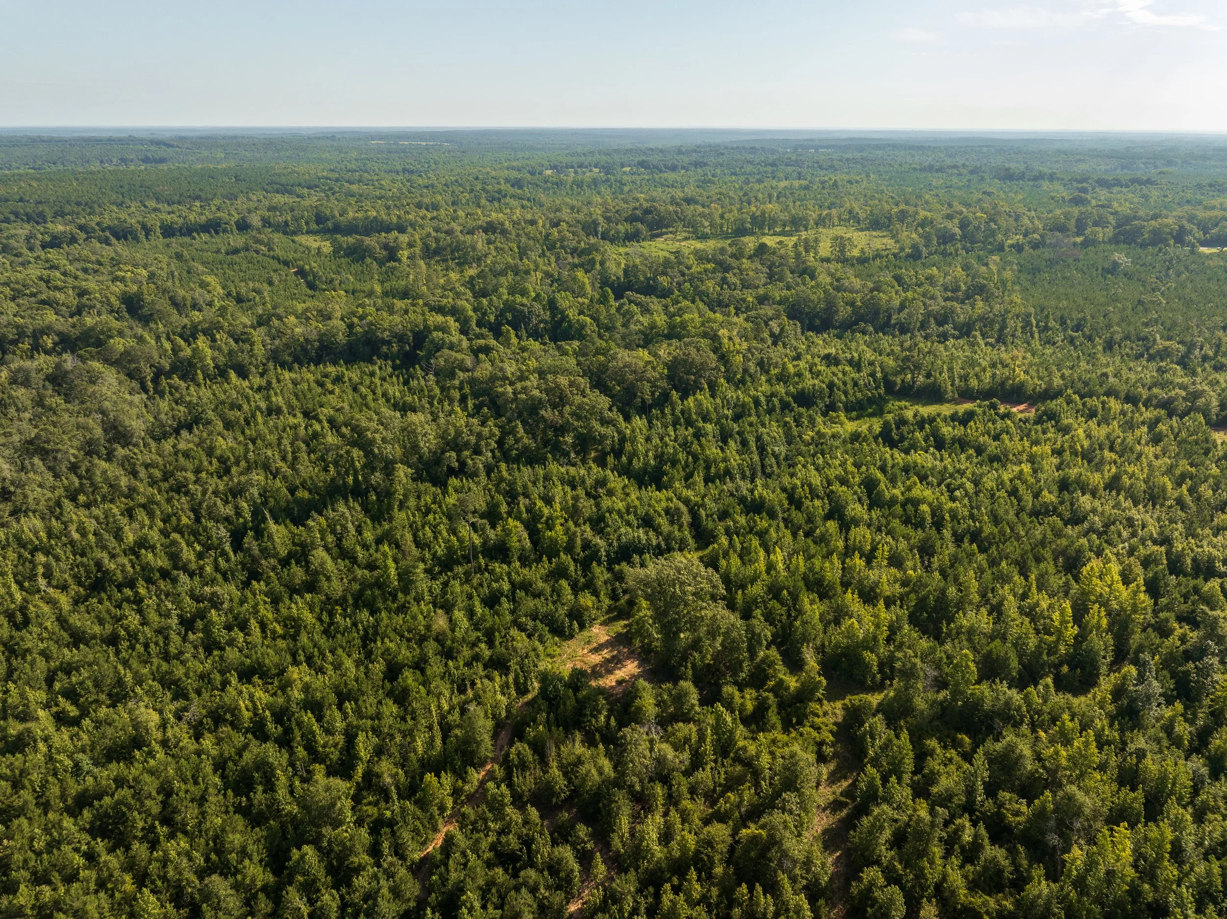 DJI_0712.jpg