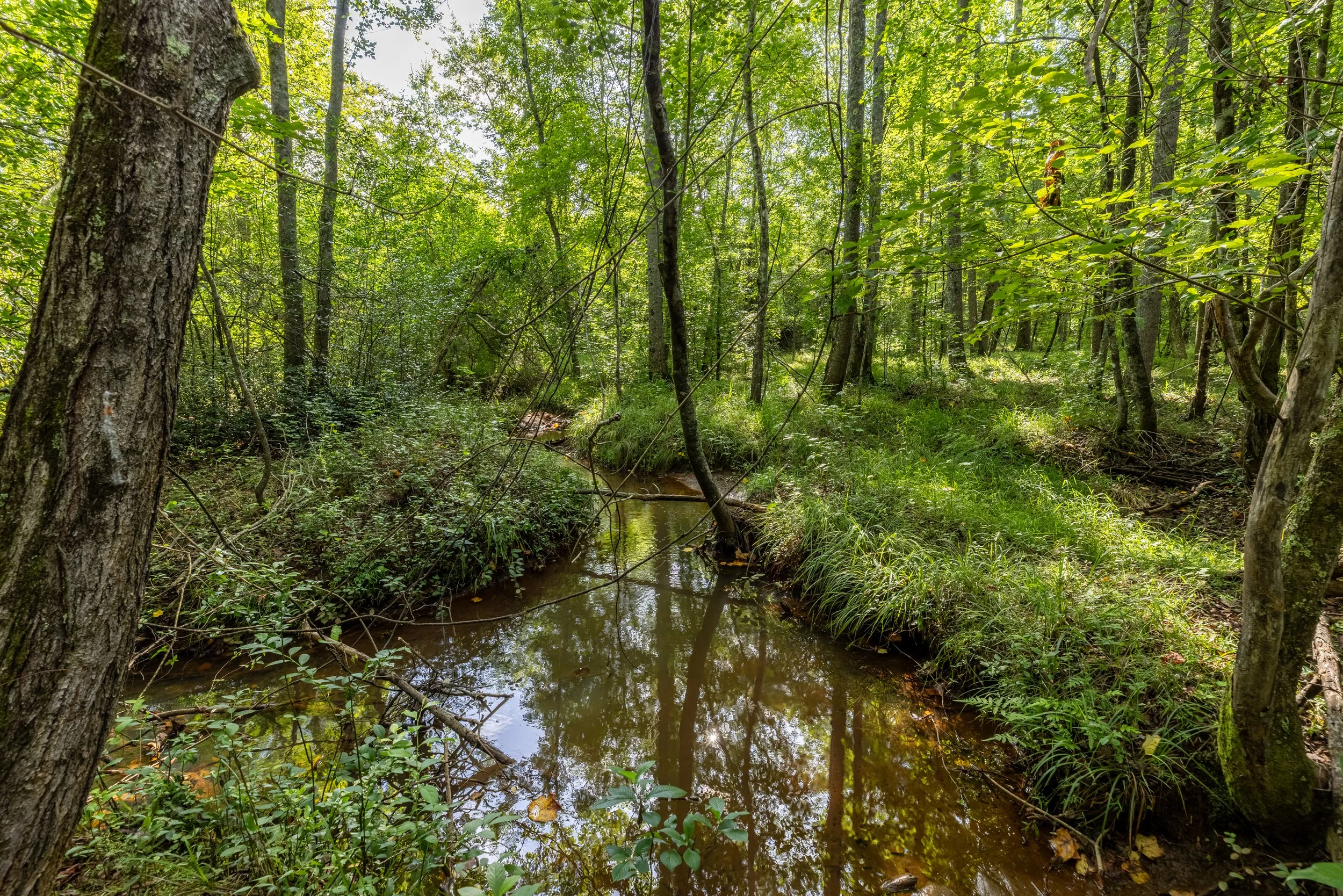 Hwy 228 Tract | $1,200,370