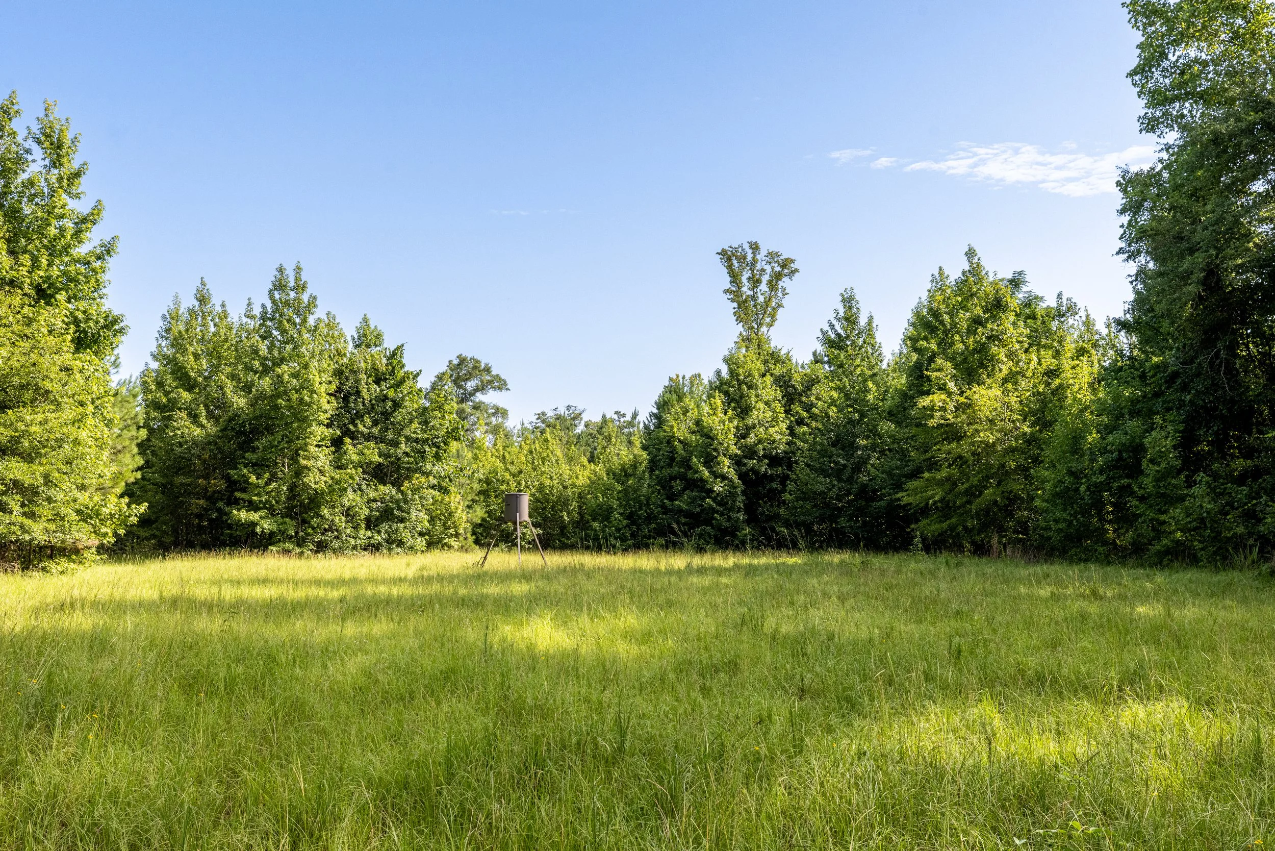 3O5A9296-HDR.jpg