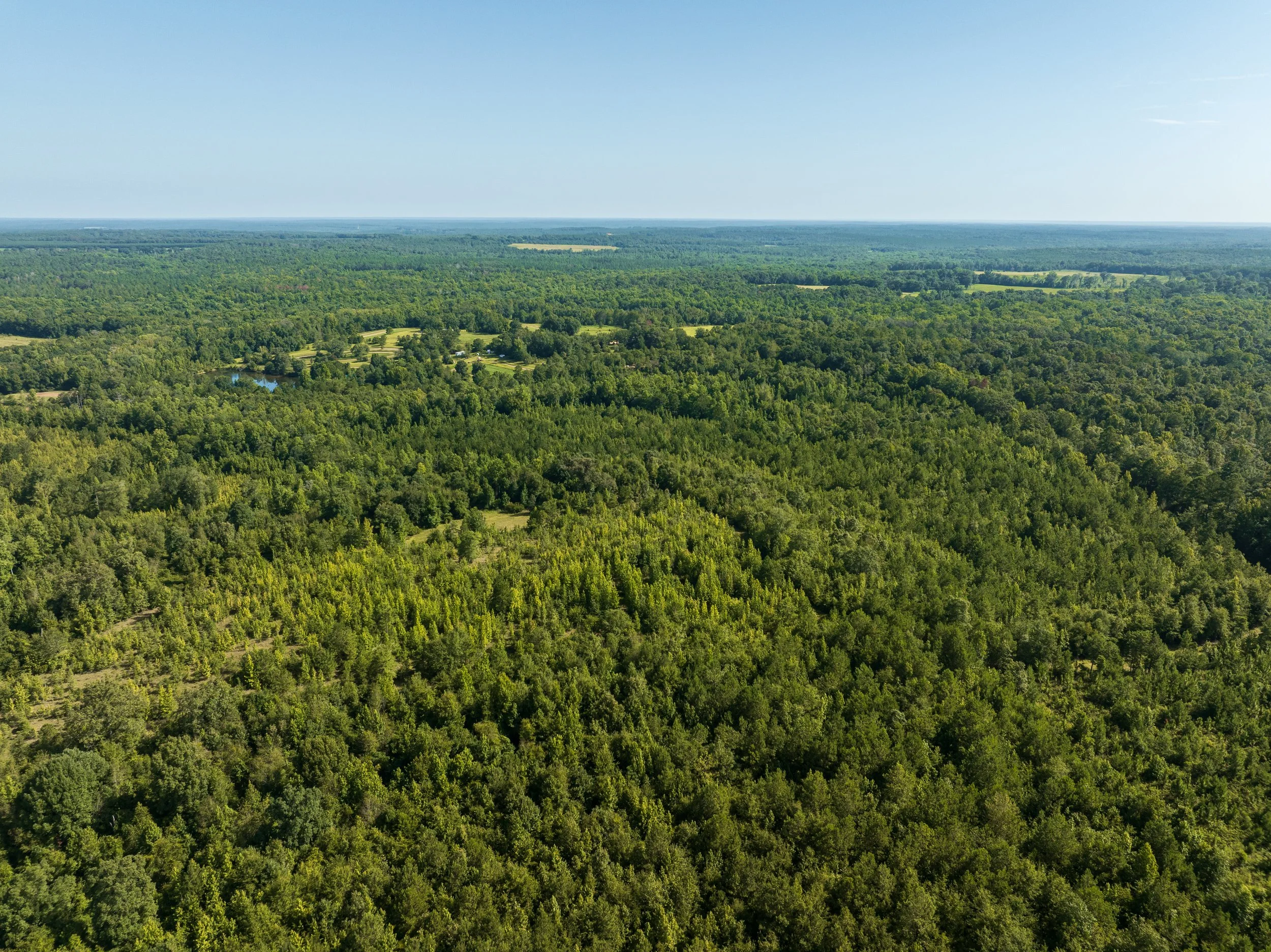 DJI_0719.jpg