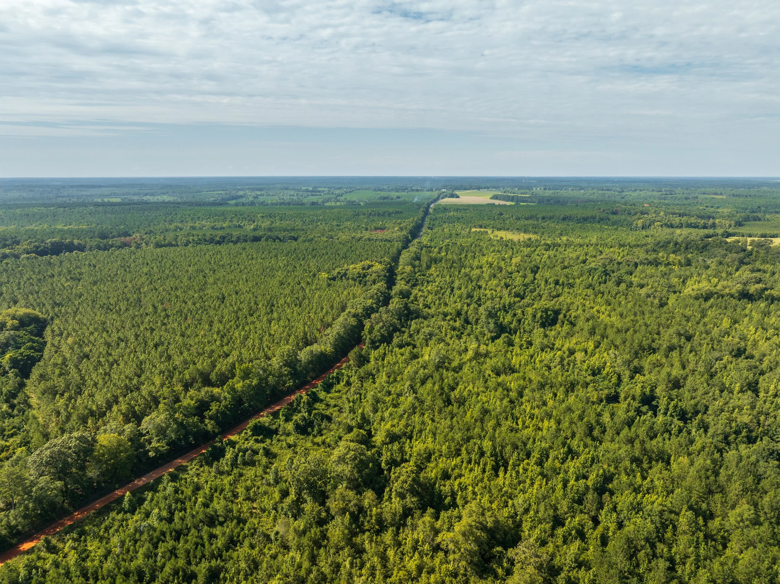 DJI_0718.jpg