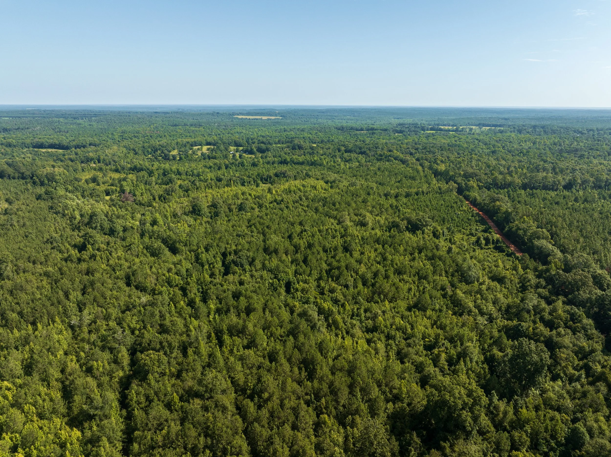 DJI_0721.jpg