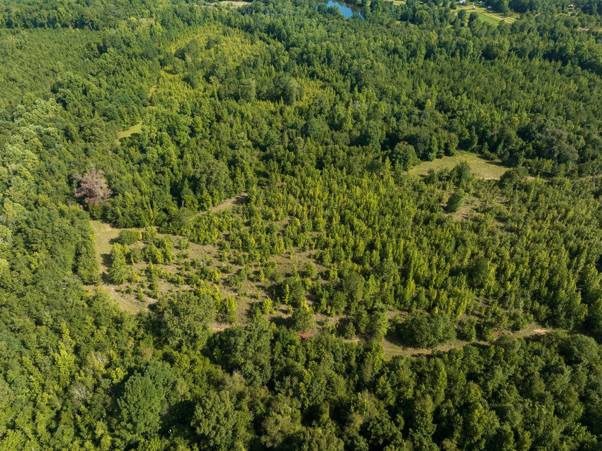 DJI_0722.jpg