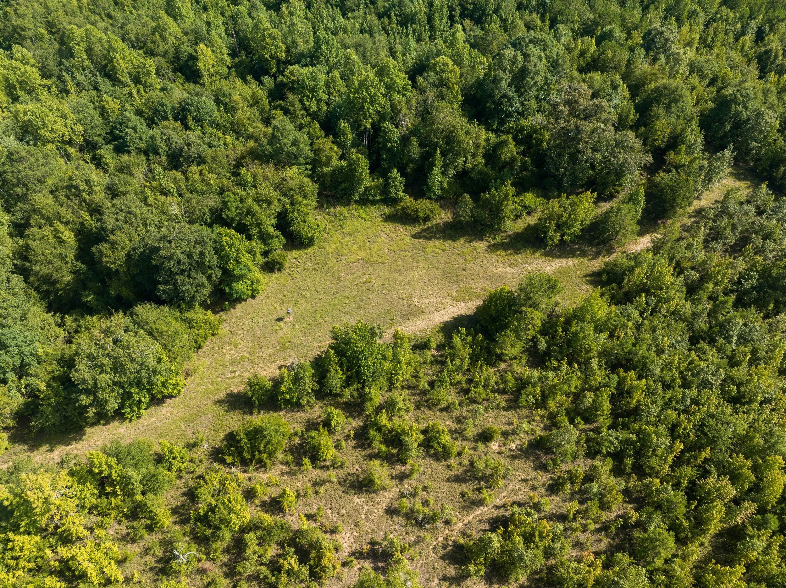 DJI_0723.jpg