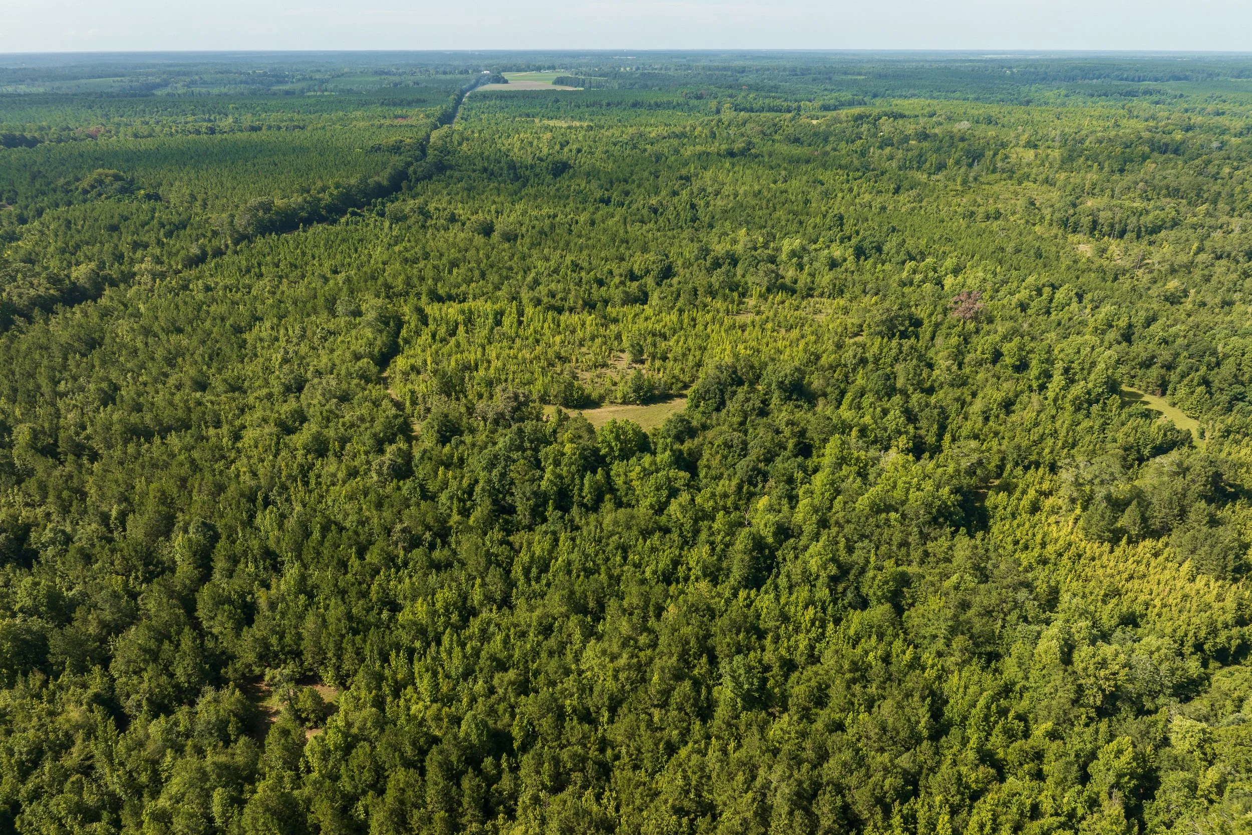 DJI_0724.jpg