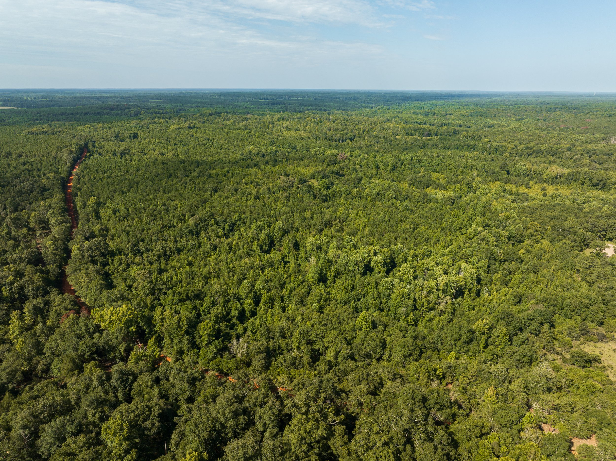 DJI_0726.jpg