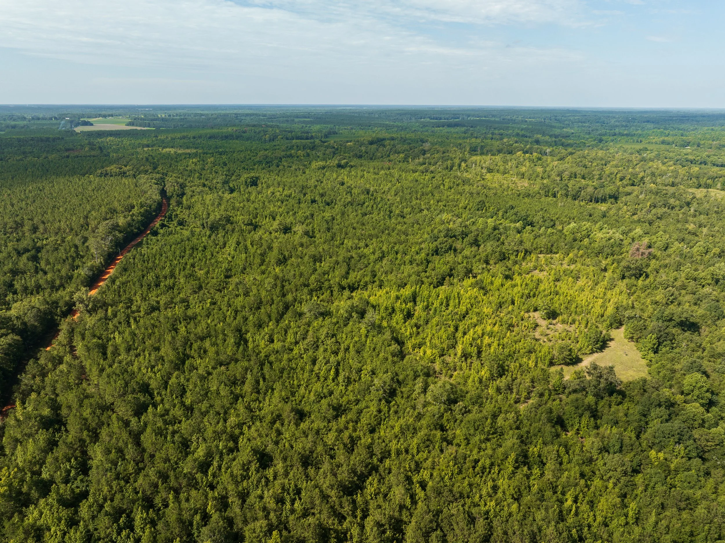 DJI_0727.jpg