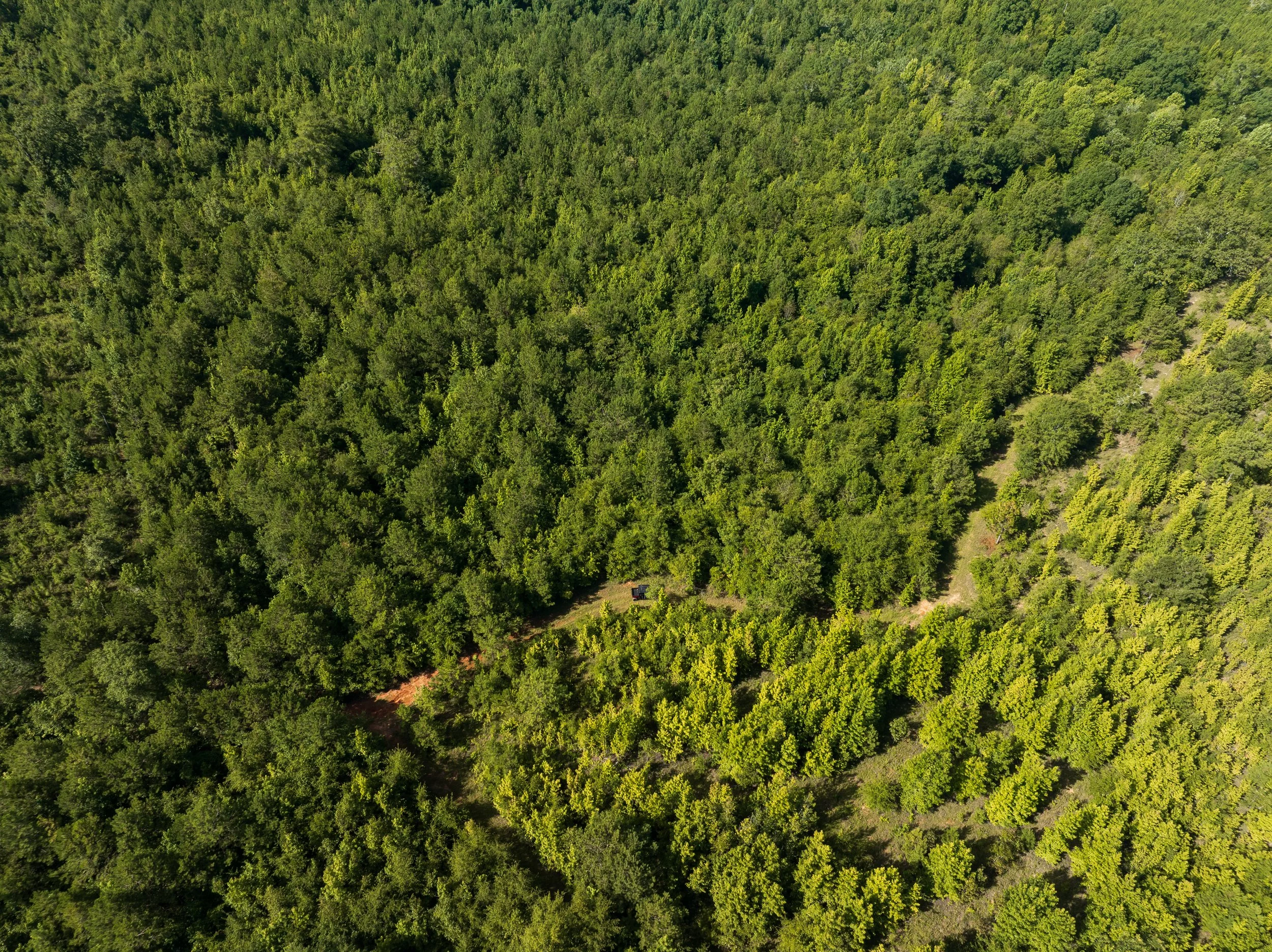 DJI_0728.jpg