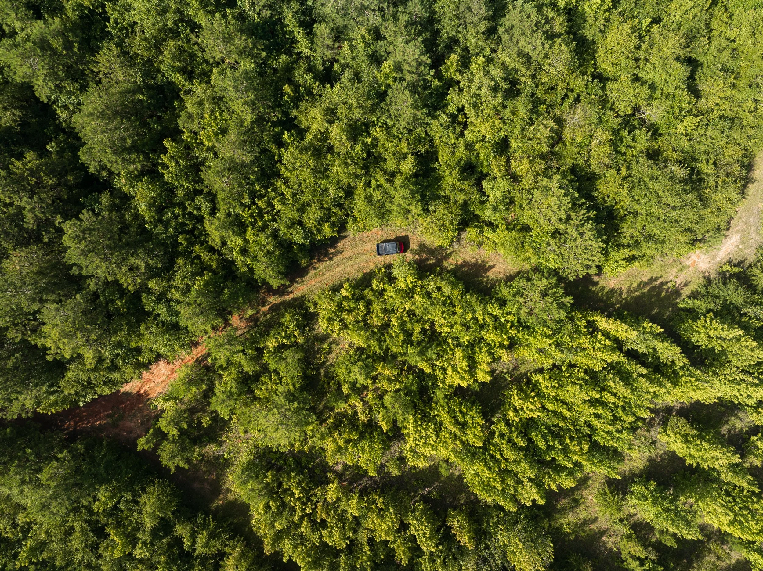 DJI_0729.jpg