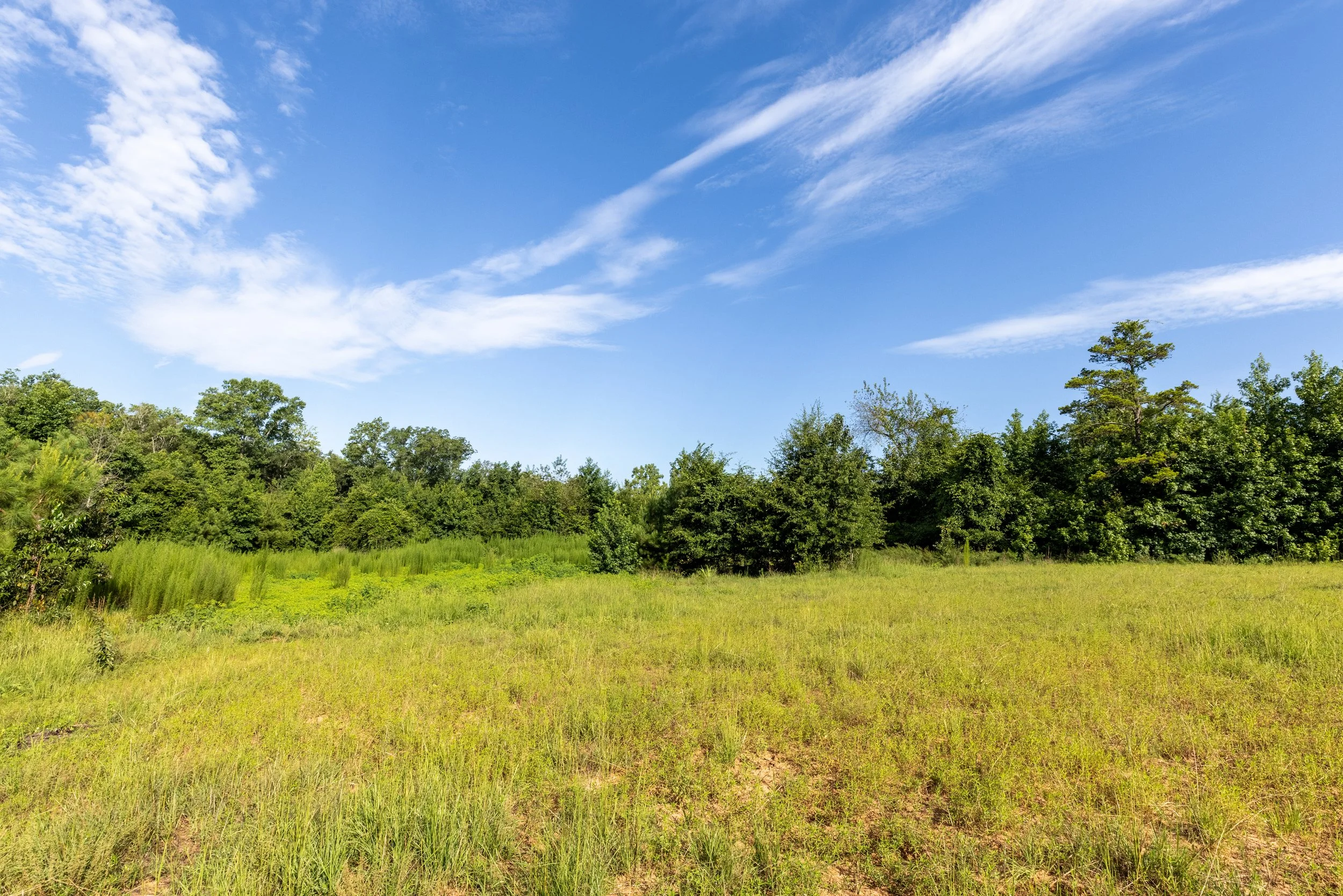 3O5A9230-HDR.jpg