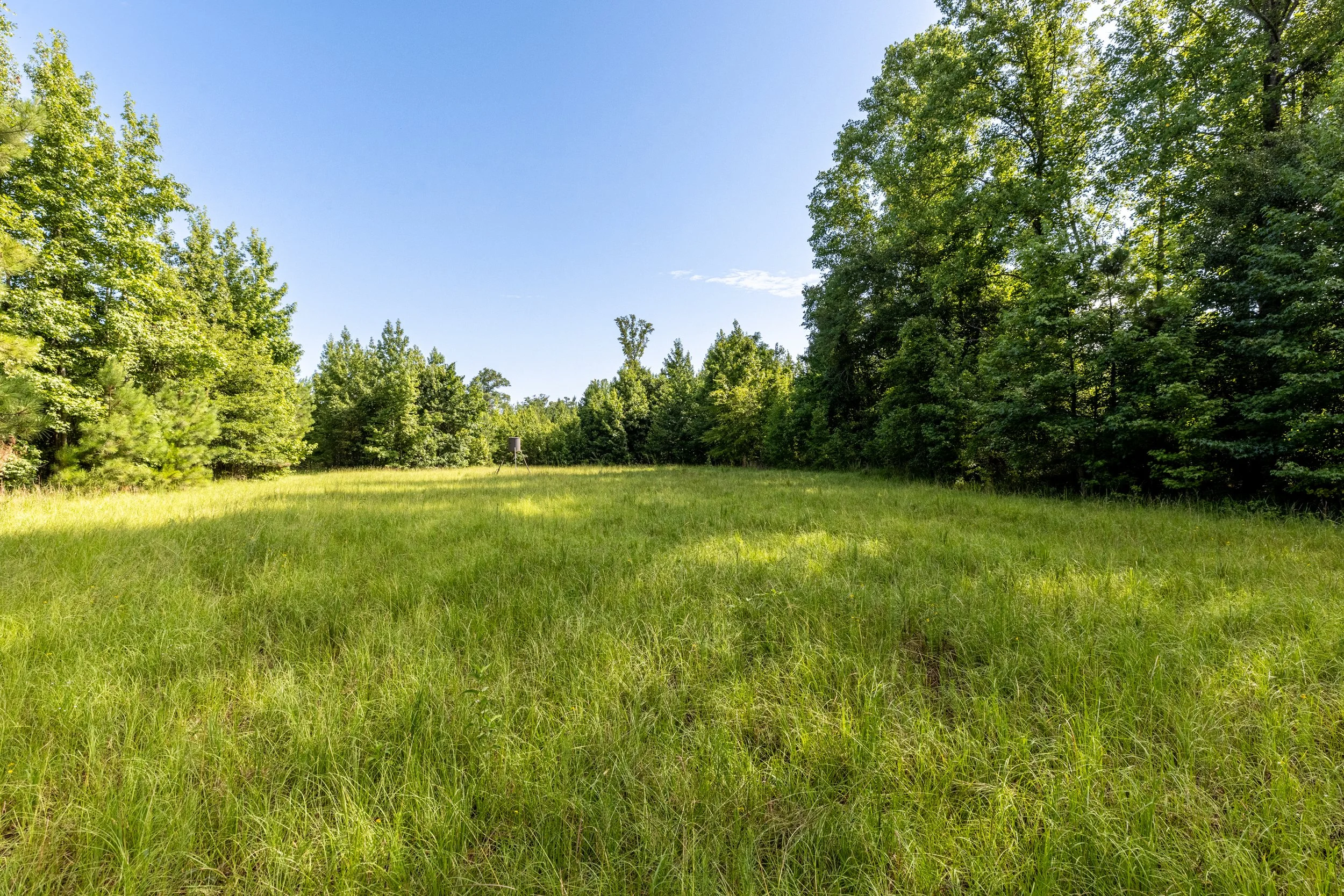 3O5A9293-HDR.jpg